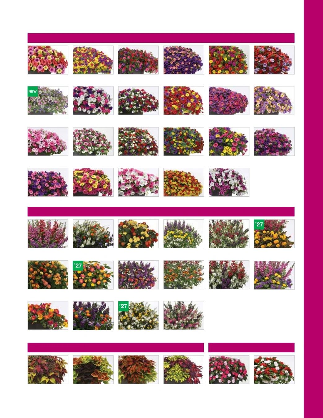 Ball FloraPlant Plants Catalog Weekly Ad January 1 - December 31, 2027