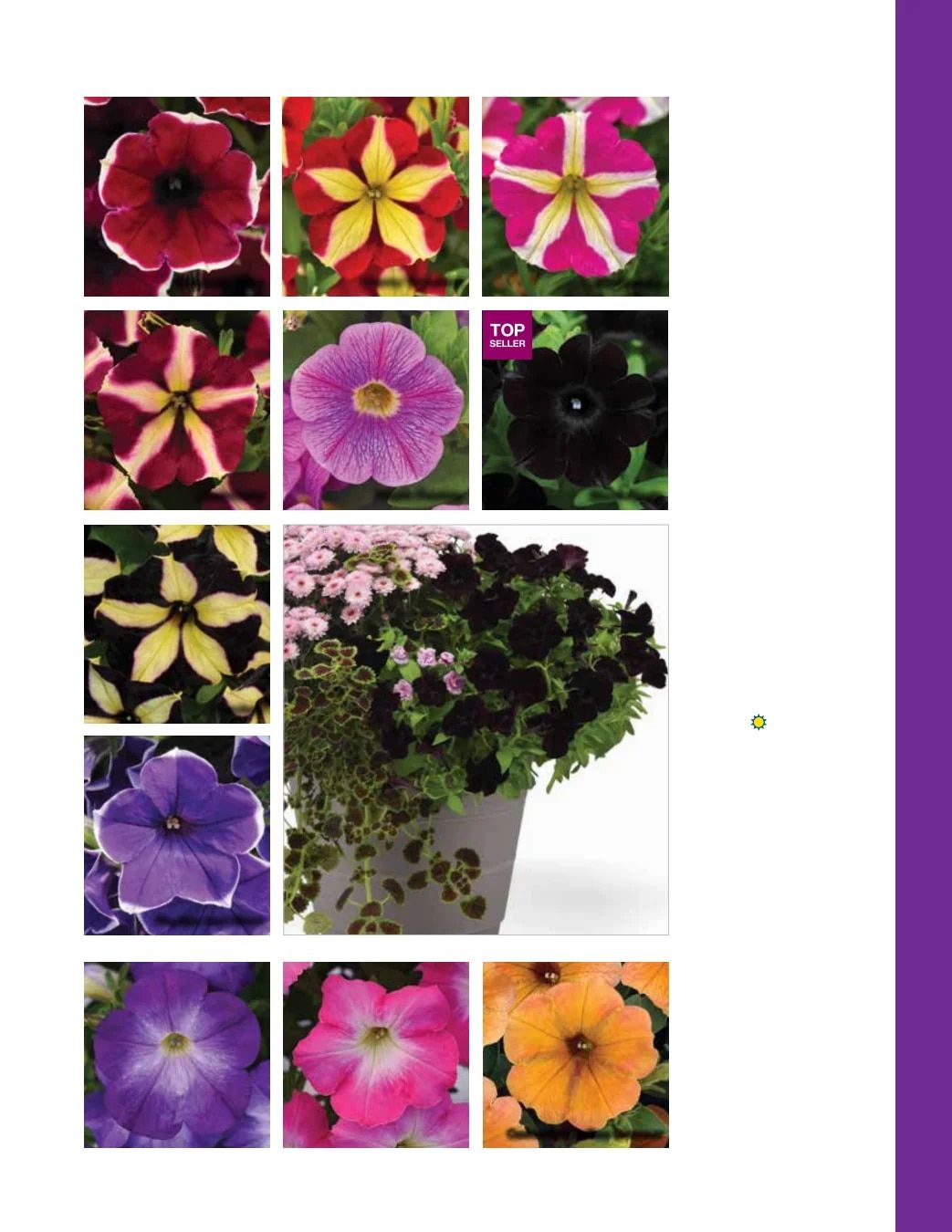 Ball FloraPlant Plants Catalog Weekly Ad January 1 - December 31, 2027