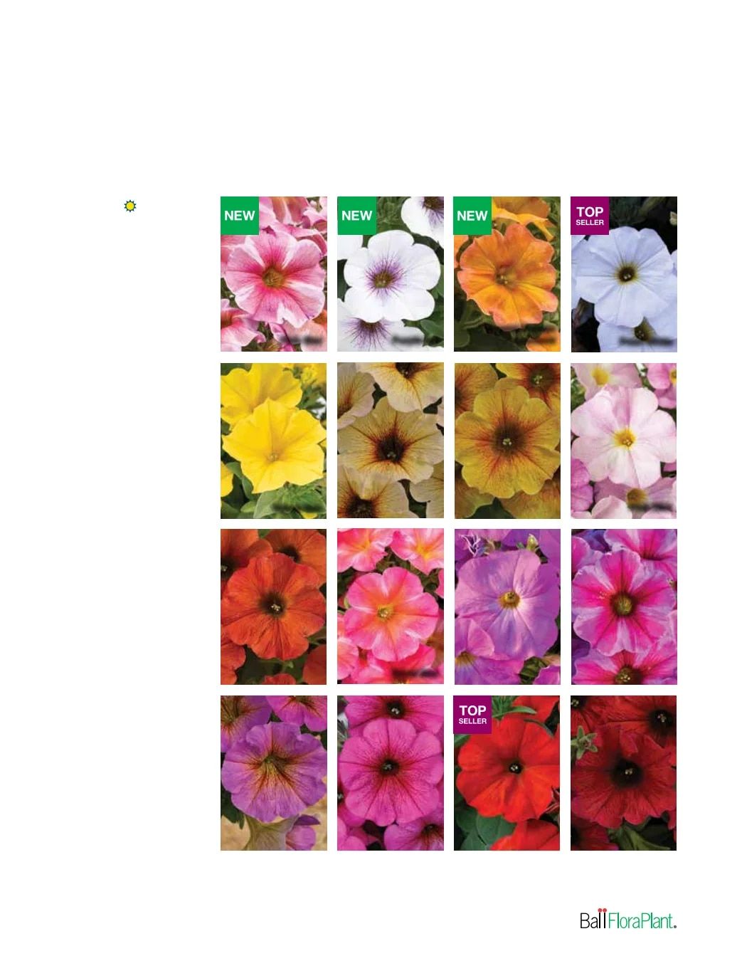 Ball FloraPlant Plants Catalog Weekly Ad January 1 - December 31, 2027
