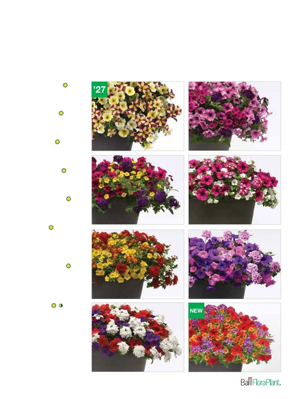 Ball FloraPlant Plants Catalog Weekly Ad January 1 - December 31, 2027