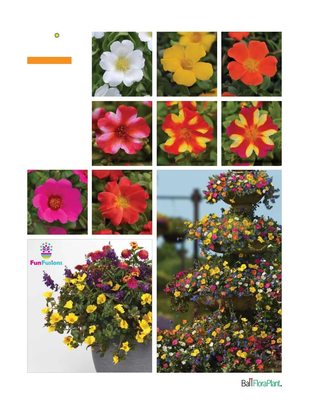 Ball FloraPlant Plants Catalog Weekly Ad January 1 - December 31, 2027