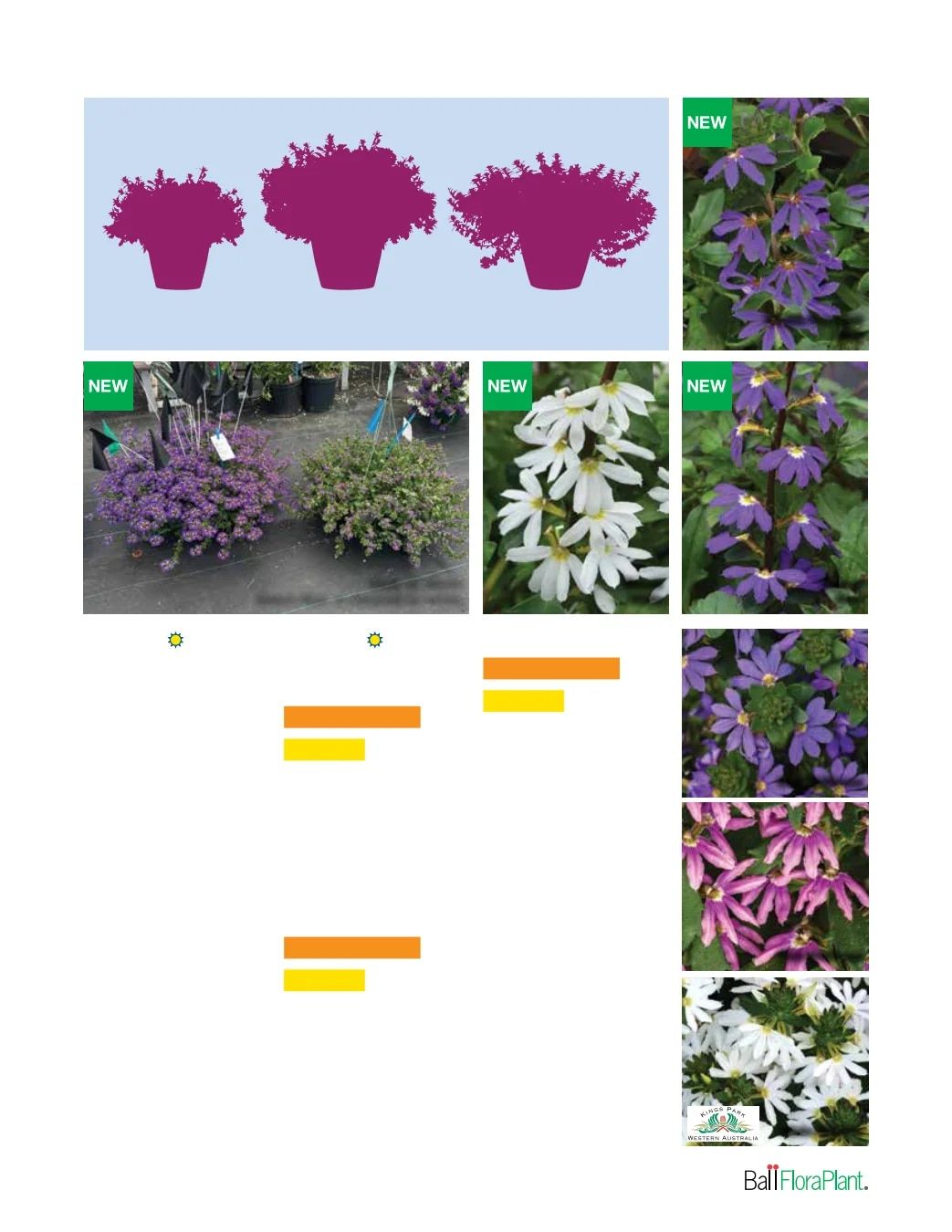 Ball FloraPlant Plants Catalog Weekly Ad January 1 - December 31, 2027
