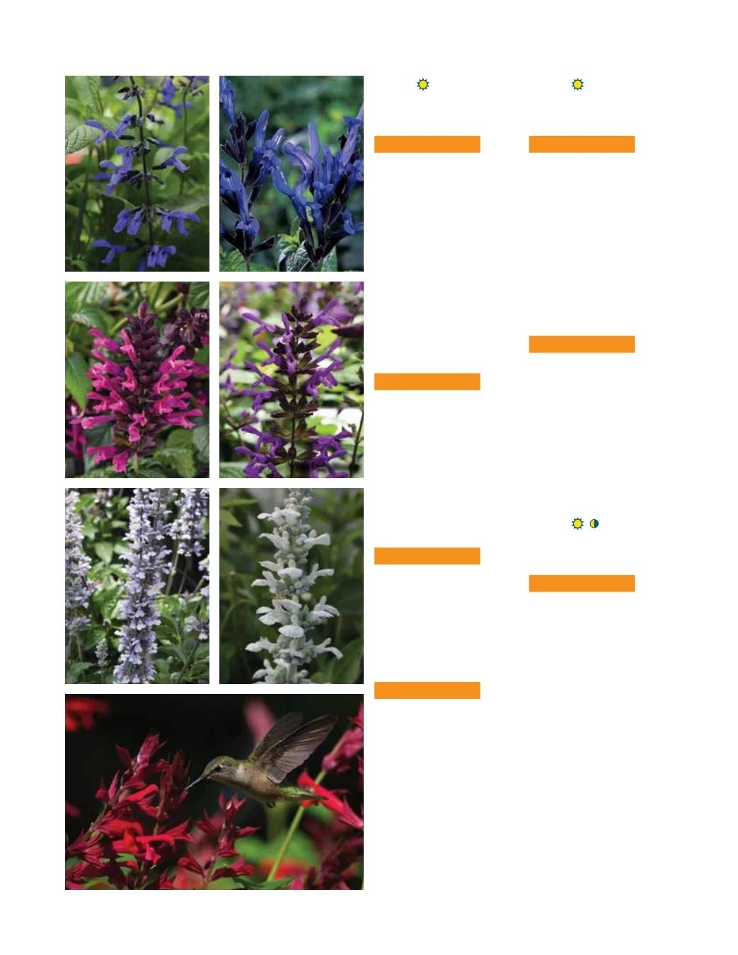 Ball FloraPlant Plants Catalog Weekly Ad January 1 - December 31, 2027