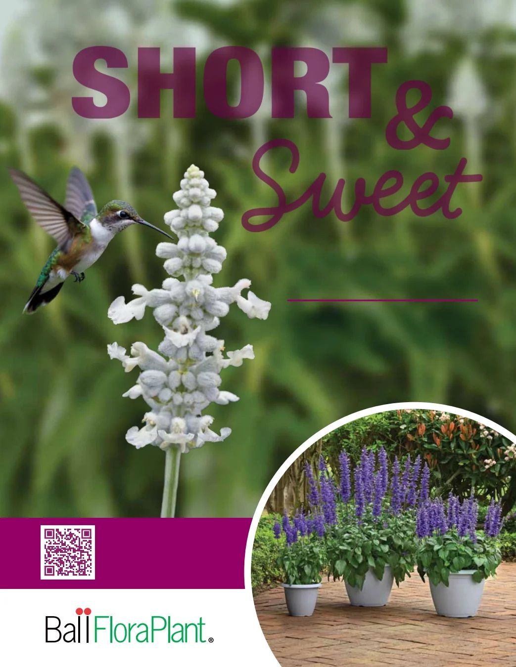 Ball FloraPlant Plants Catalog Weekly Ad January 1 - December 31, 2027