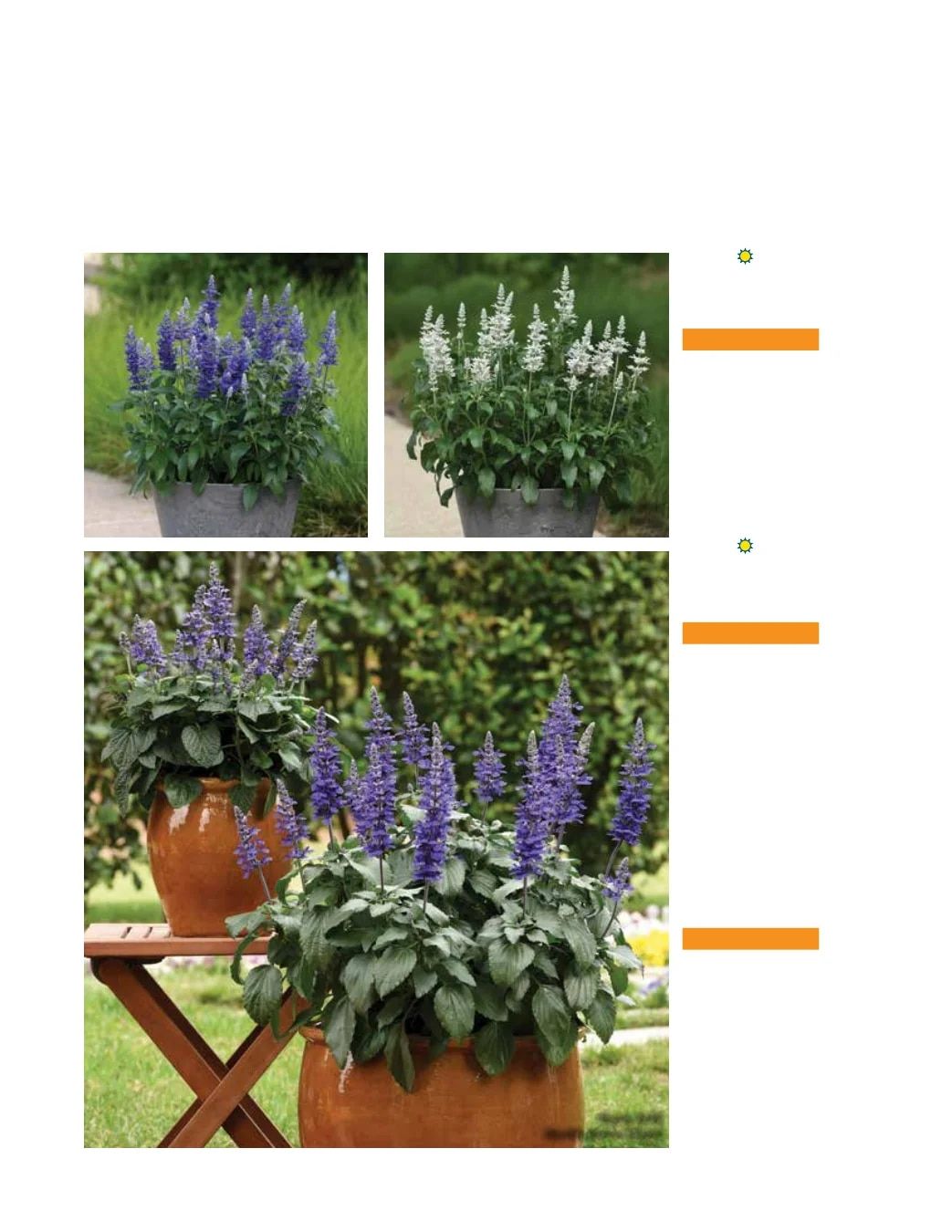 Ball FloraPlant Plants Catalog Weekly Ad January 1 - December 31, 2027