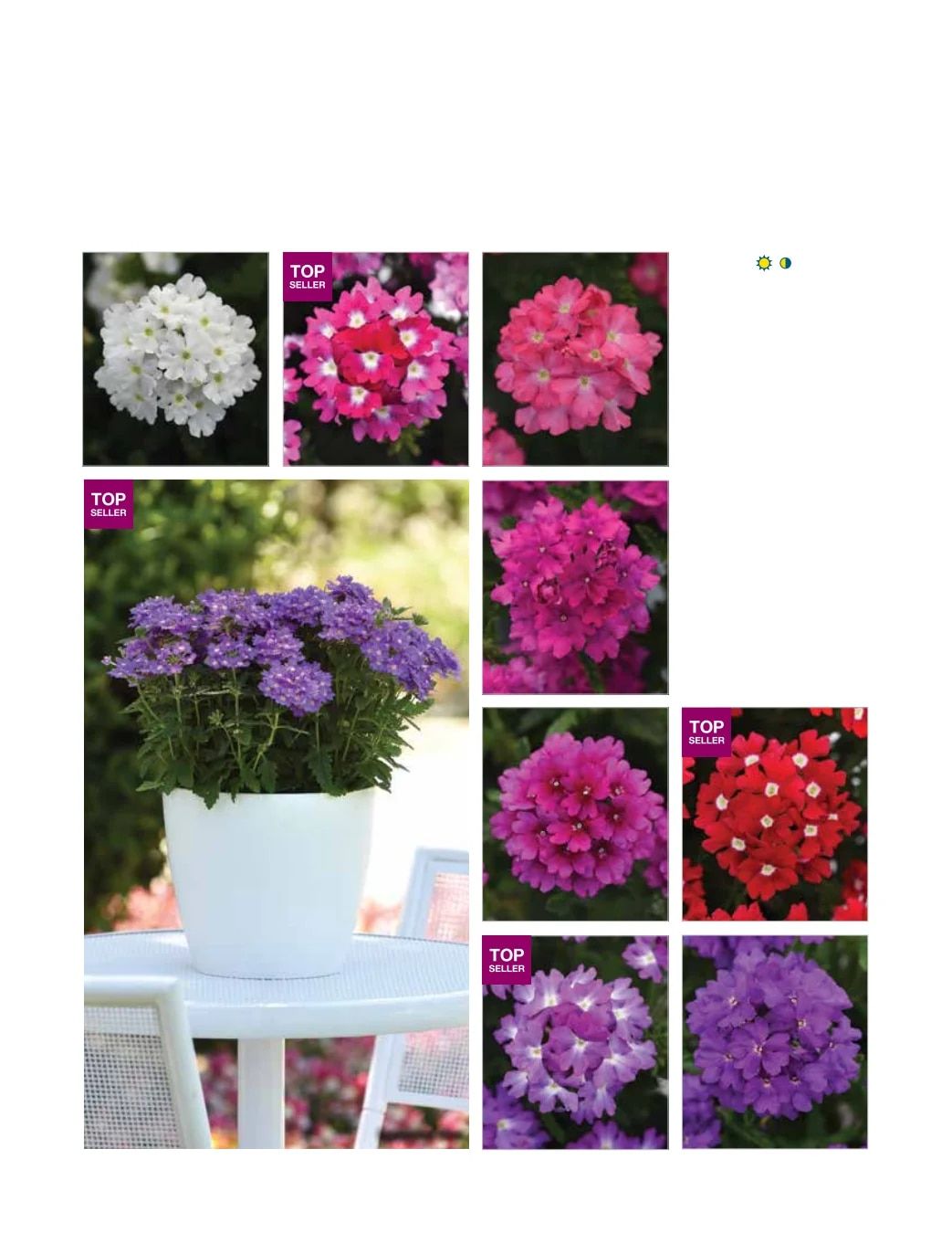 Ball FloraPlant Plants Catalog Weekly Ad January 1 - December 31, 2027