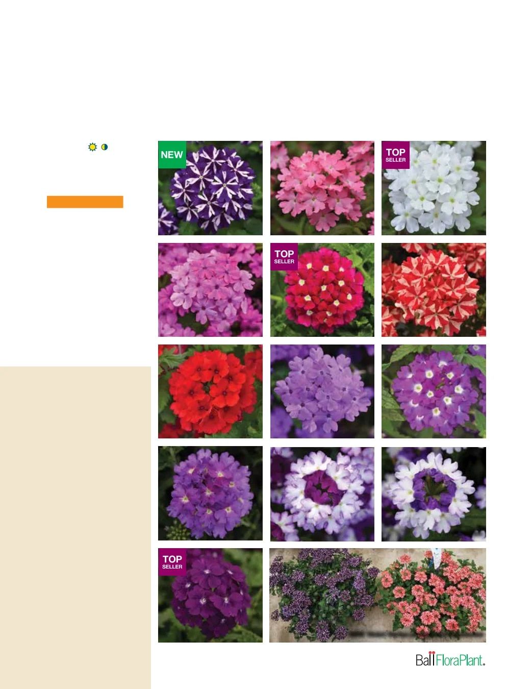 Ball FloraPlant Plants Catalog Weekly Ad January 1 - December 31, 2027