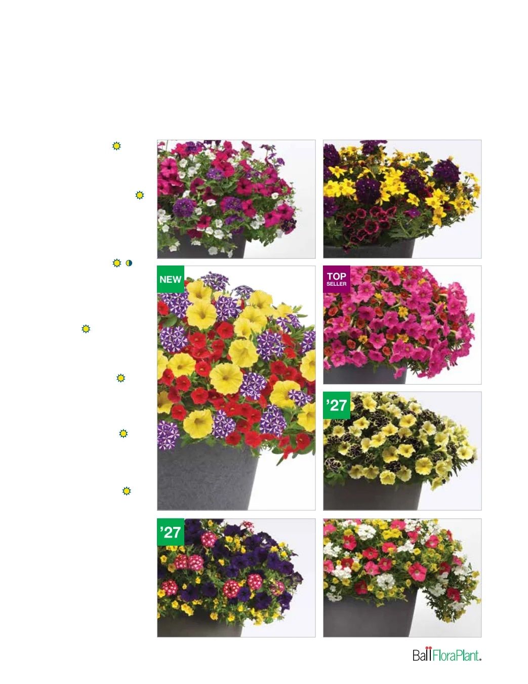 Ball FloraPlant Plants Catalog Weekly Ad January 1 - December 31, 2027