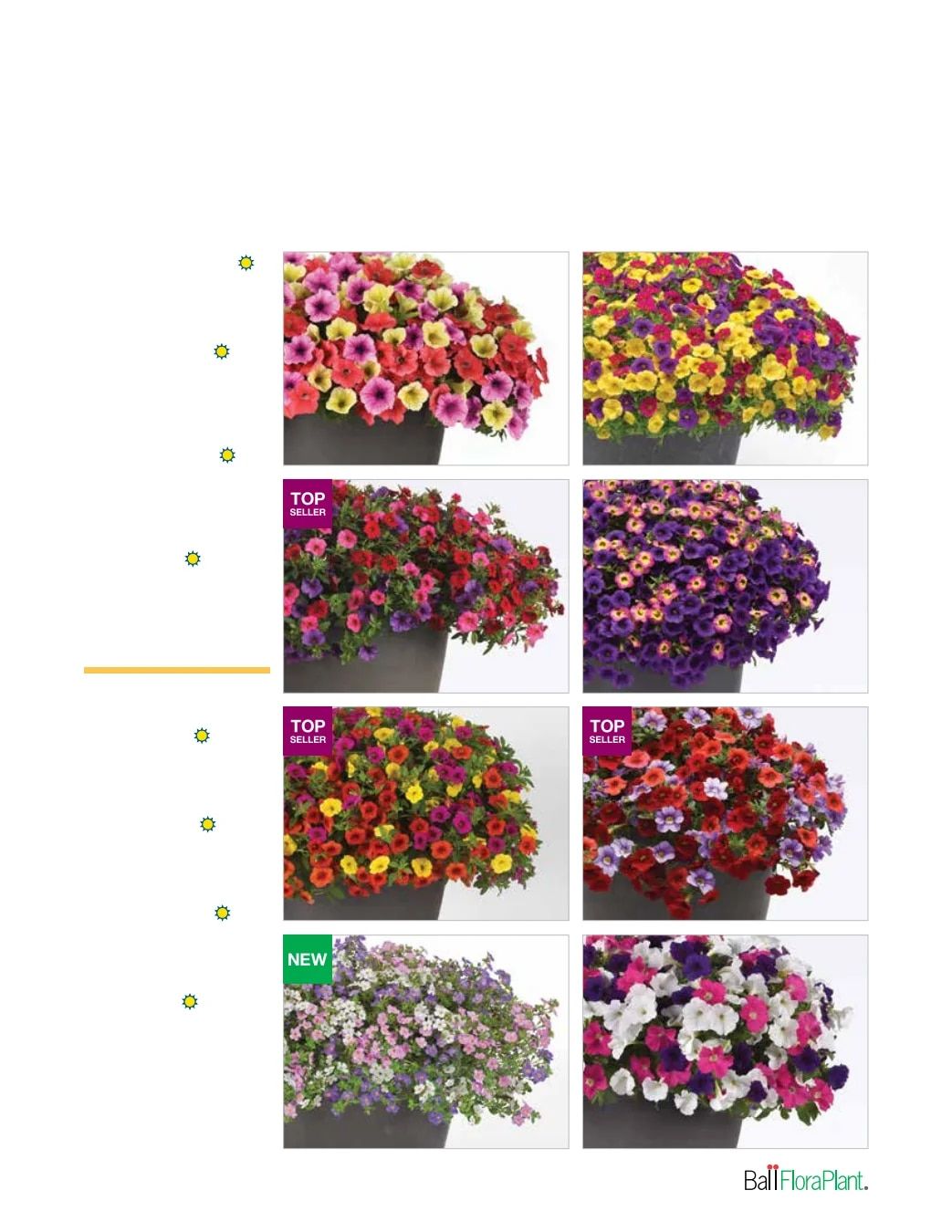 Ball FloraPlant Plants Catalog Weekly Ad January 1 - December 31, 2027