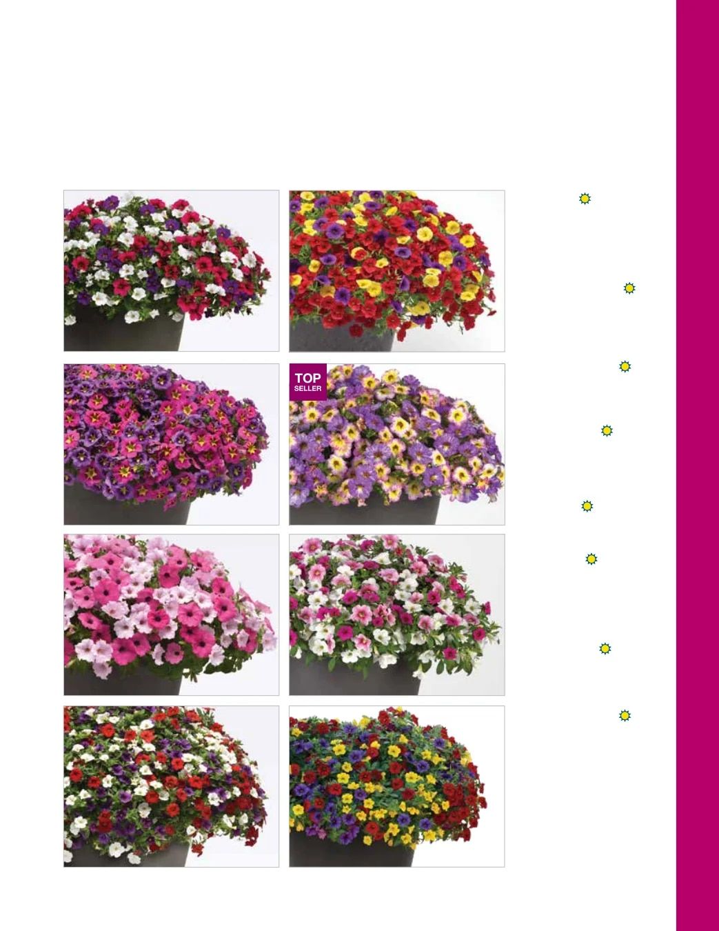 Ball FloraPlant Plants Catalog Weekly Ad January 1 - December 31, 2027