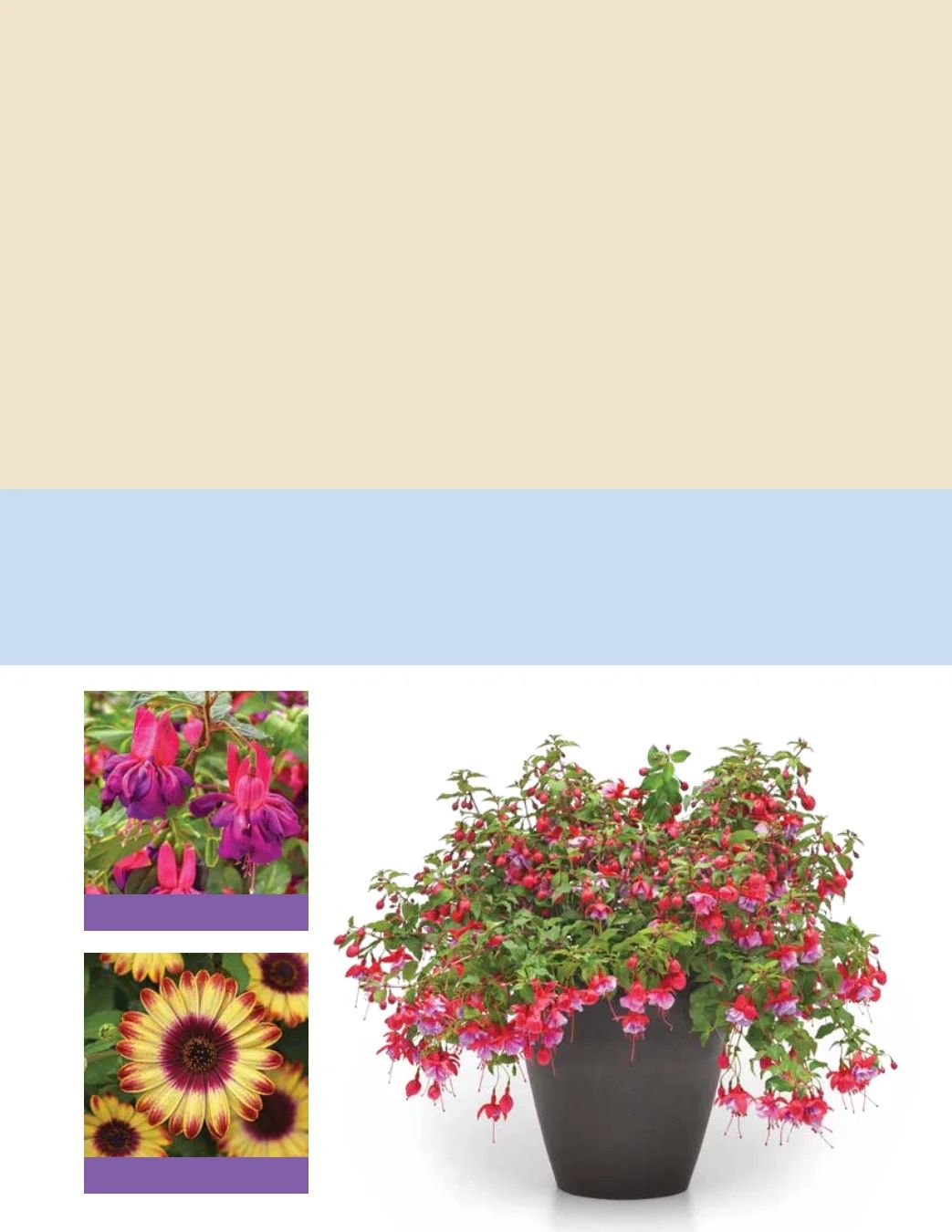 Ball FloraPlant Plants Catalog Weekly Ad January 1 - December 31, 2027
