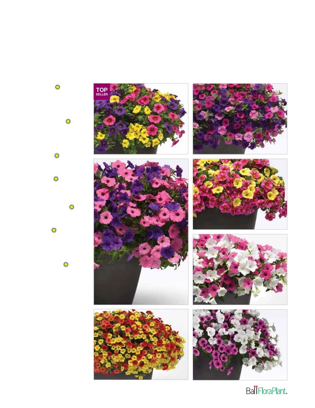 Ball FloraPlant Plants Catalog Weekly Ad January 1 - December 31, 2027