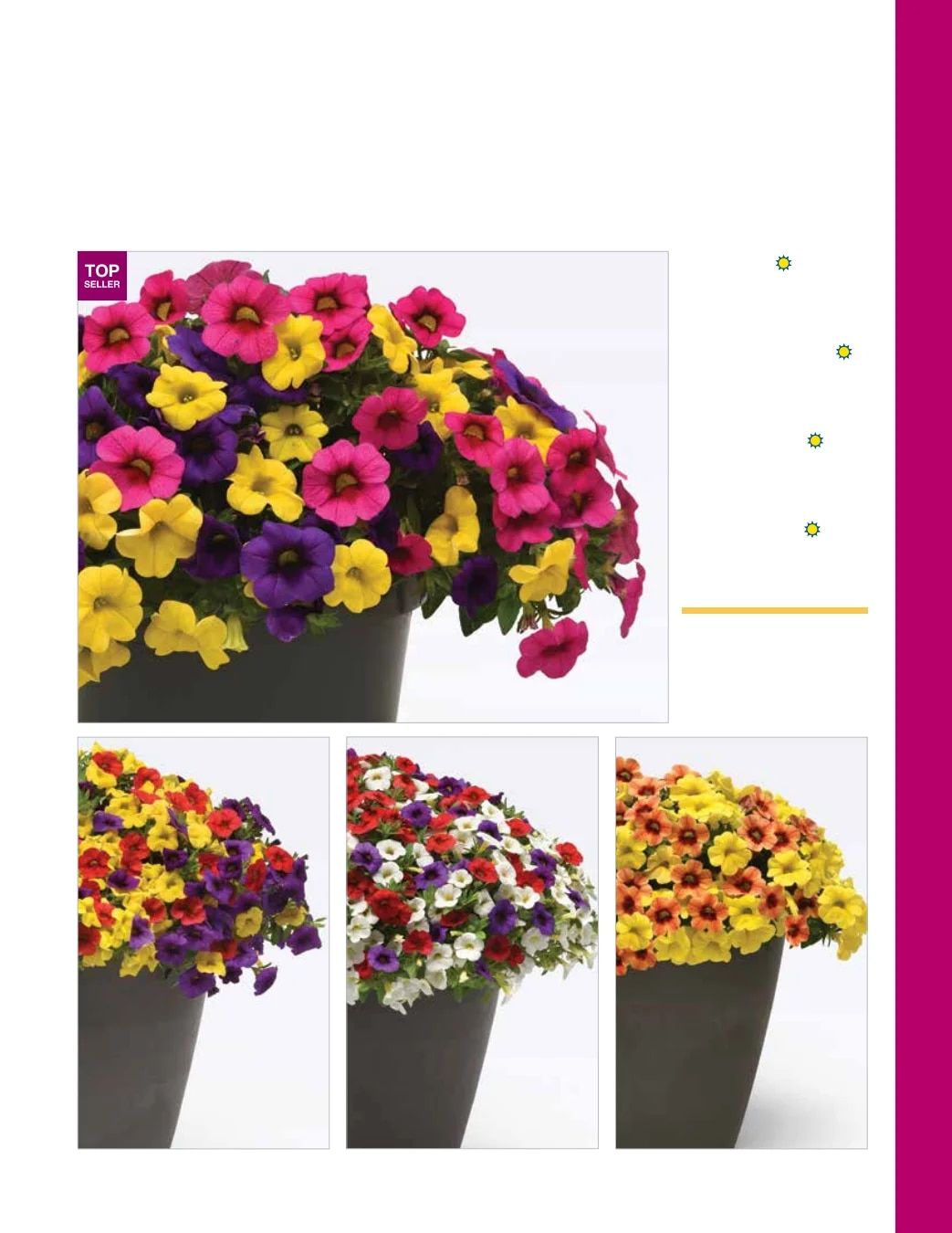 Ball FloraPlant Plants Catalog Weekly Ad January 1 - December 31, 2027