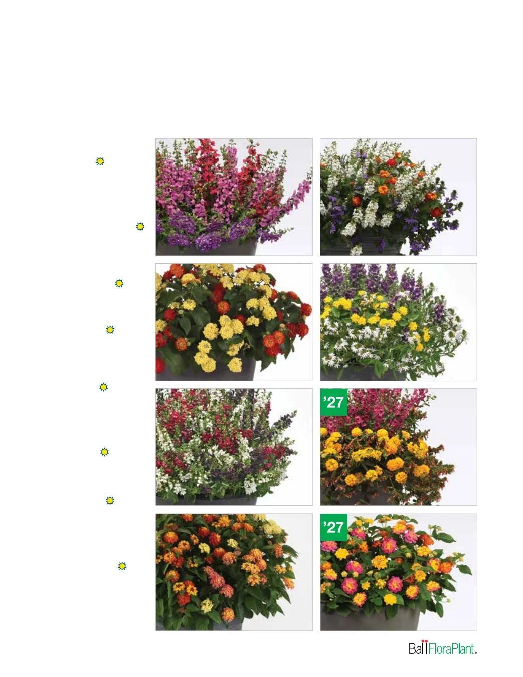 Ball FloraPlant Plants Catalog Weekly Ad January 1 - December 31, 2027