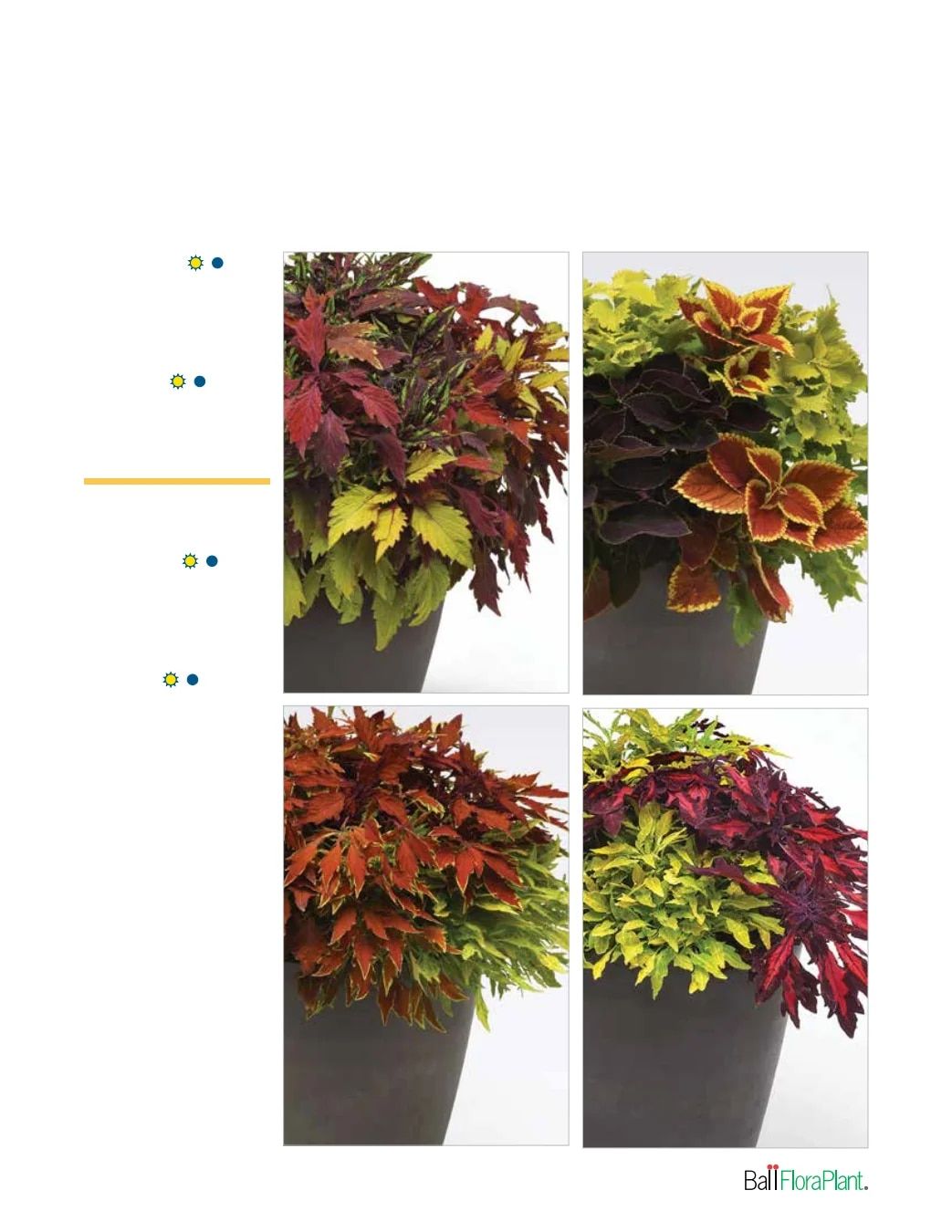 Ball FloraPlant Plants Catalog Weekly Ad January 1 - December 31, 2027