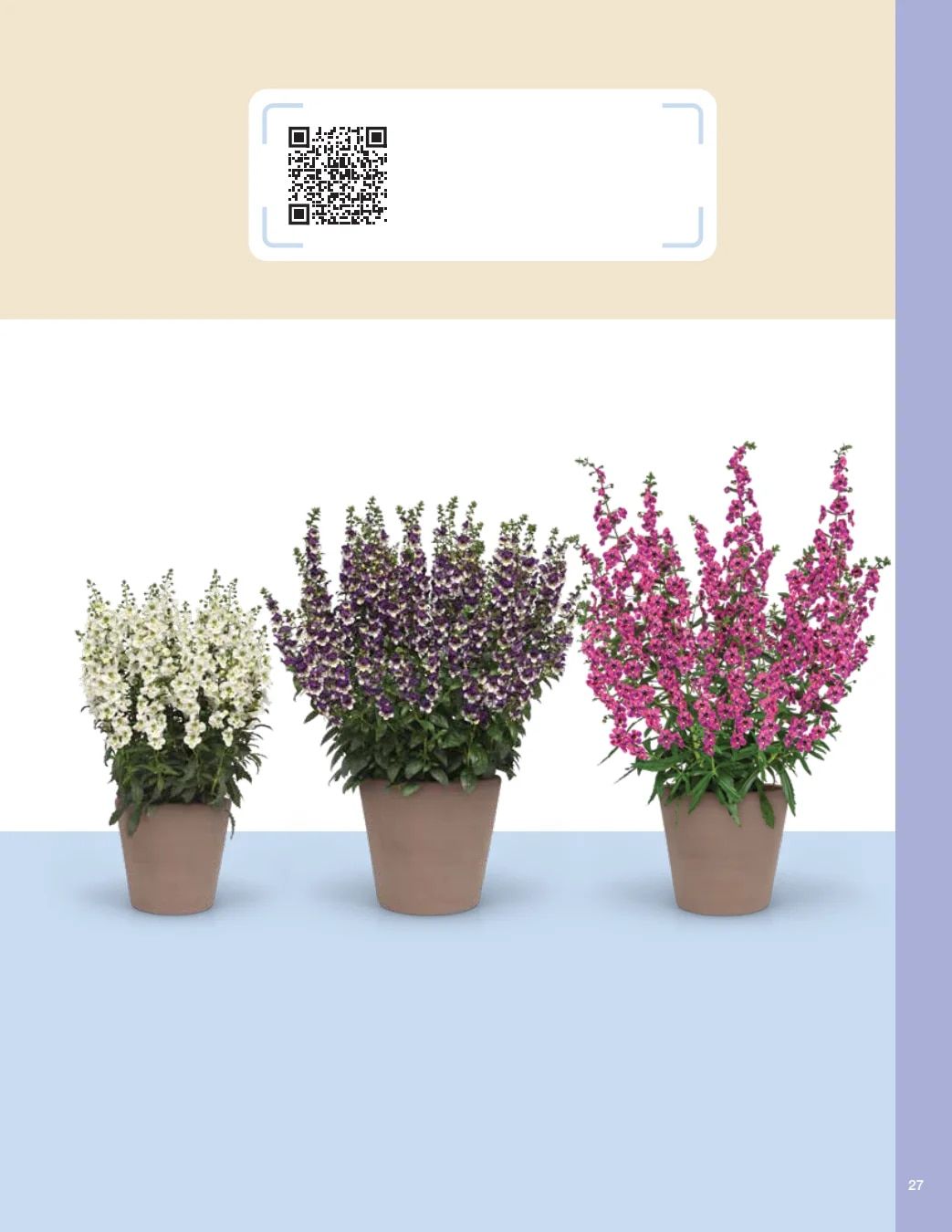 Ball FloraPlant Plants Catalog Weekly Ad January 1 - December 31, 2027