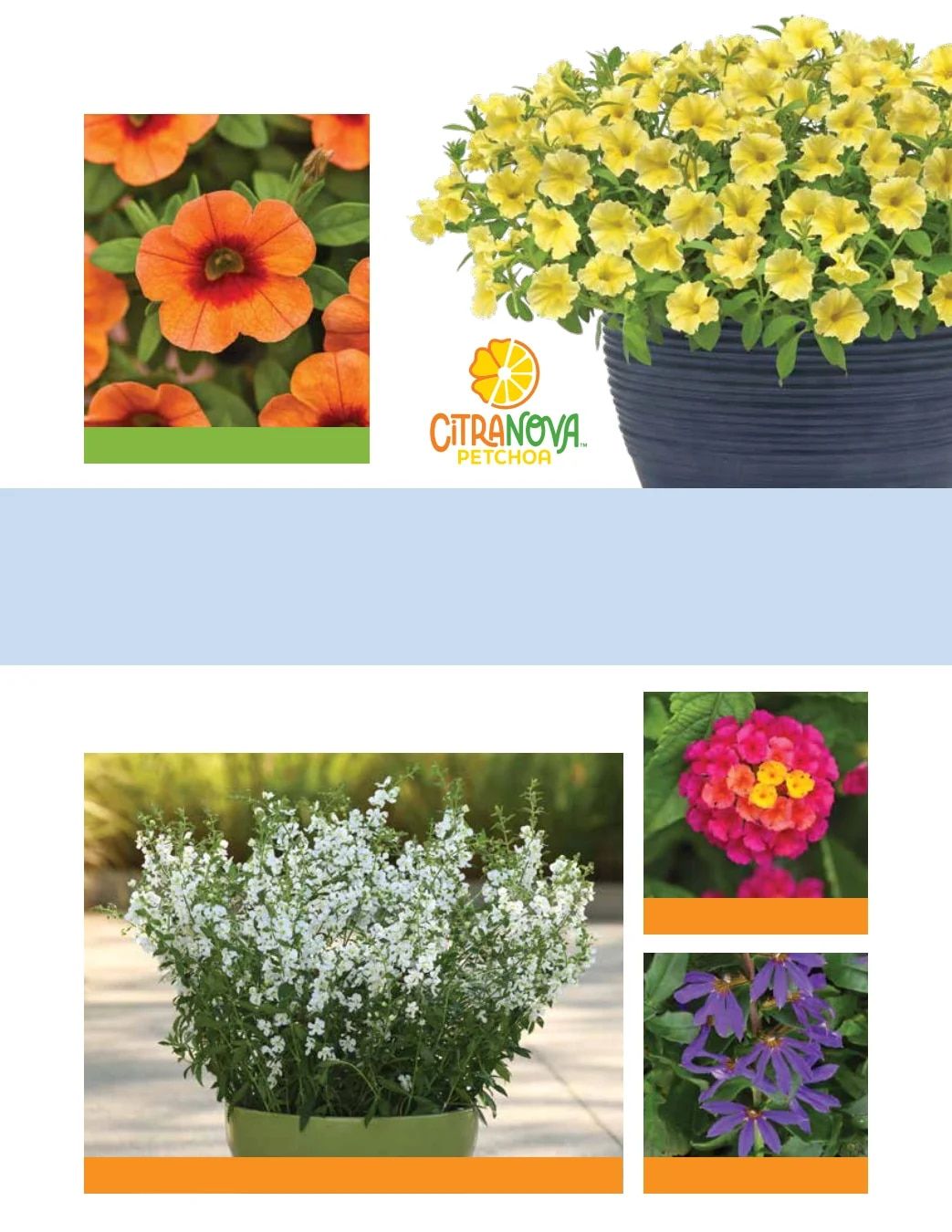 Ball FloraPlant Plants Catalog Weekly Ad January 1 - December 31, 2027