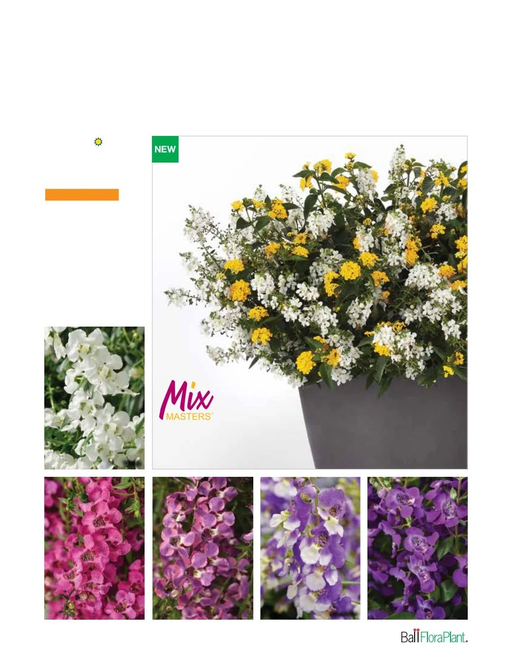 Ball FloraPlant Plants Catalog Weekly Ad January 1 - December 31, 2027