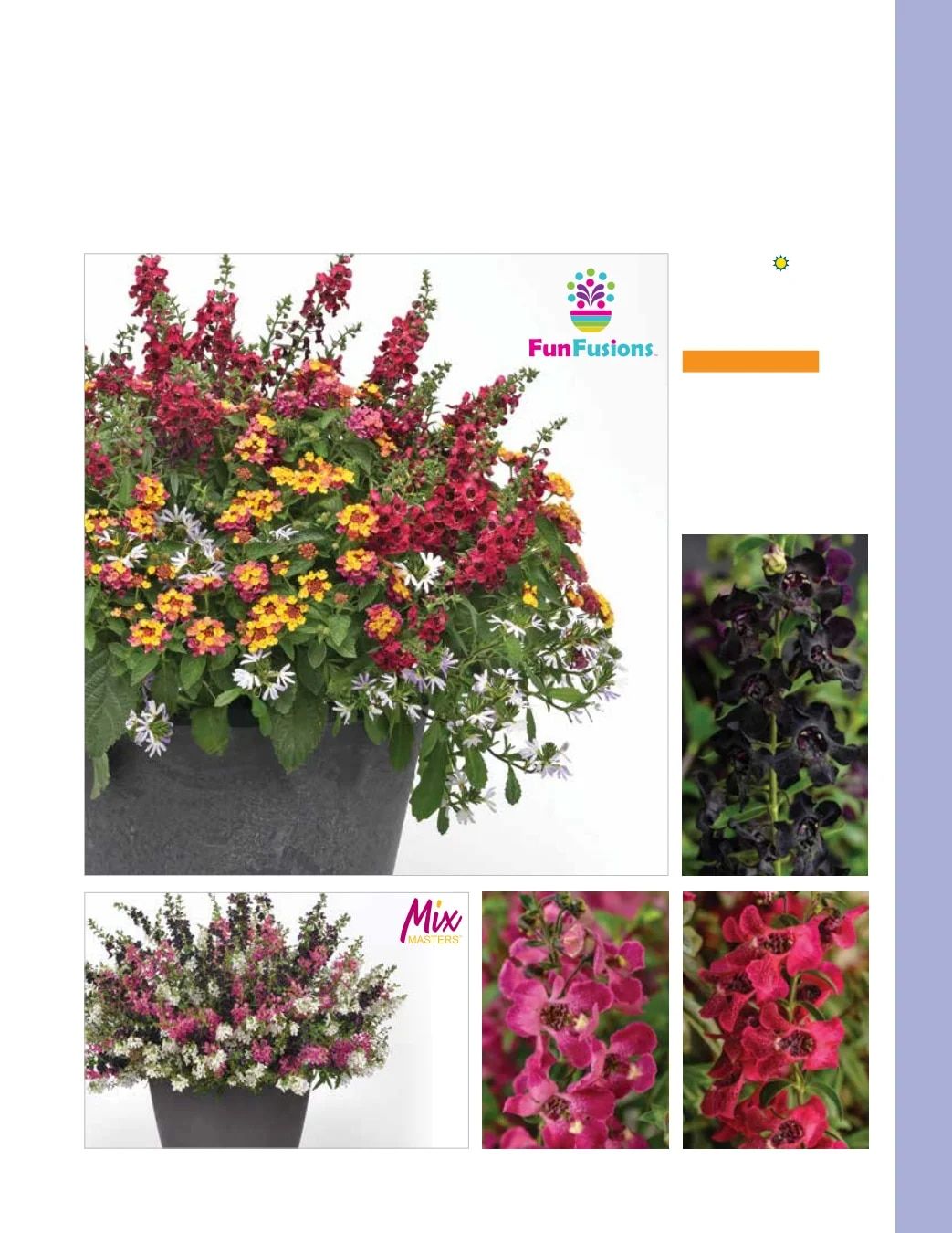 Ball FloraPlant Plants Catalog Weekly Ad January 1 - December 31, 2027