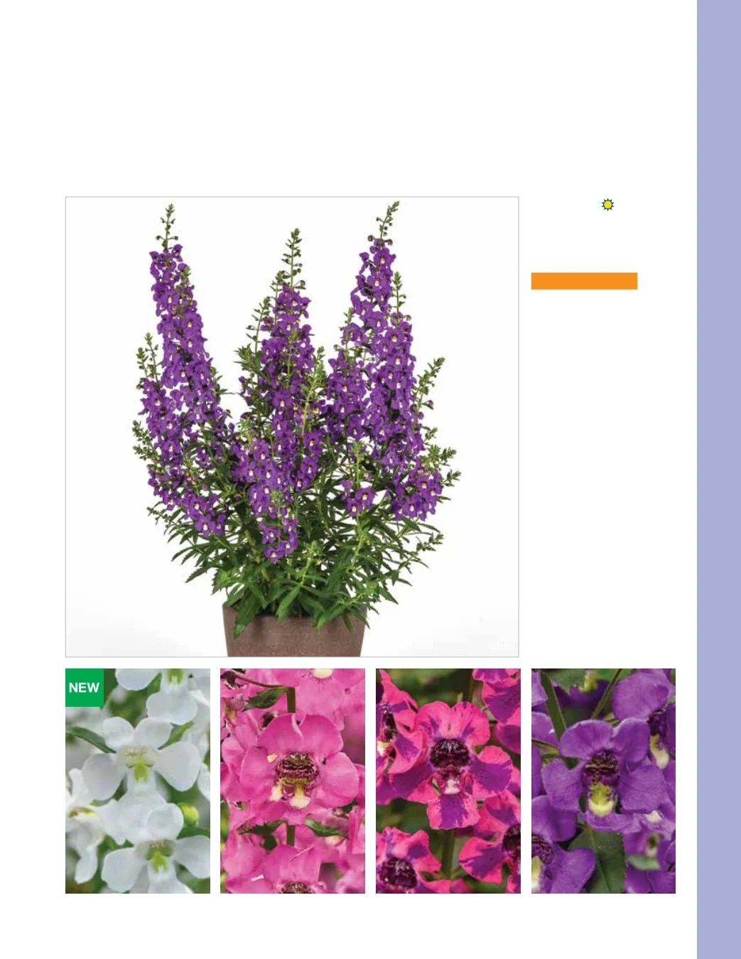 Ball FloraPlant Plants Catalog Weekly Ad January 1 - December 31, 2027