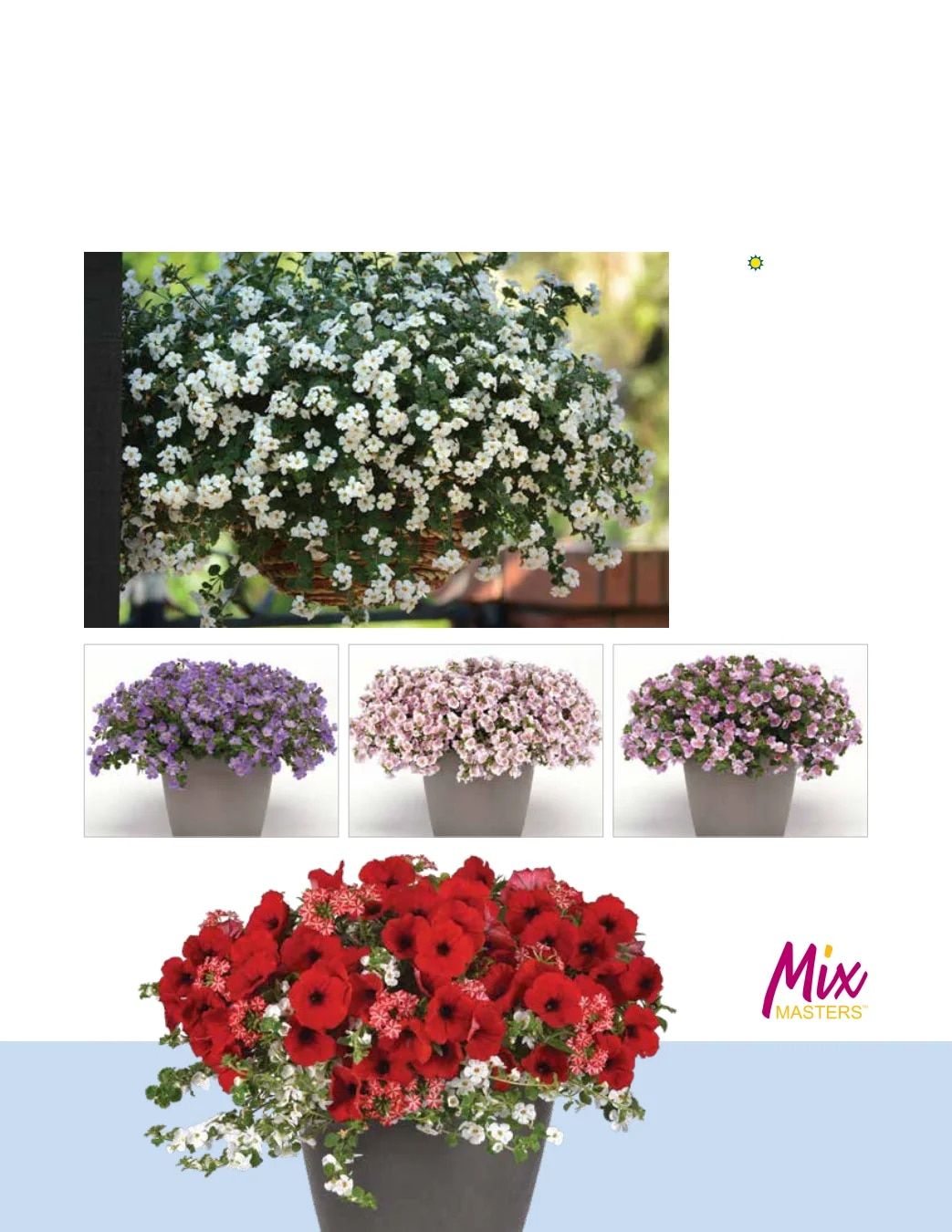 Ball FloraPlant Plants Catalog Weekly Ad January 1 - December 31, 2027