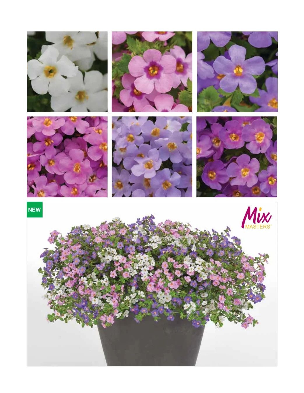 Ball FloraPlant Plants Catalog Weekly Ad January 1 - December 31, 2027