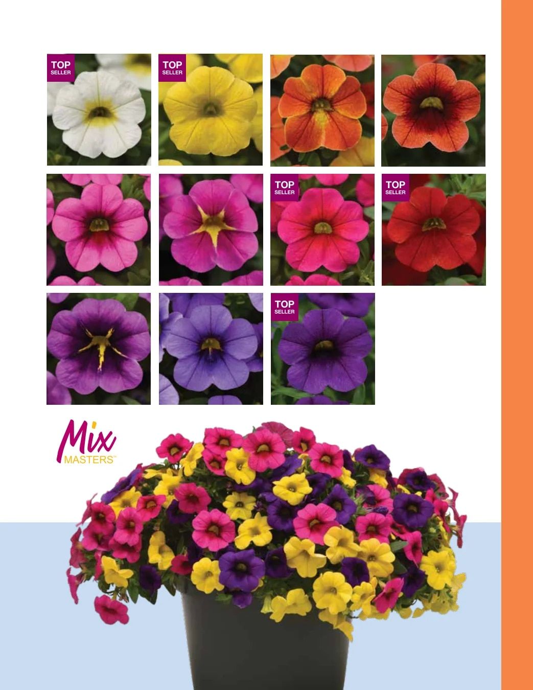 Ball FloraPlant Plants Catalog Weekly Ad January 1 - December 31, 2027