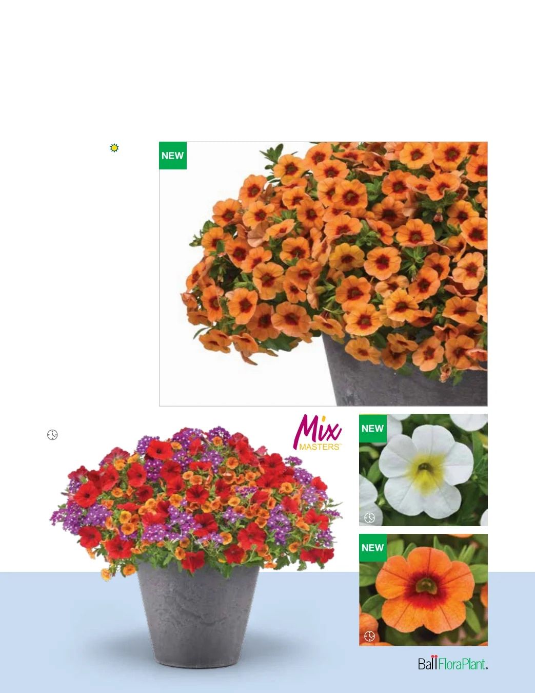 Ball FloraPlant Plants Catalog Weekly Ad January 1 - December 31, 2027