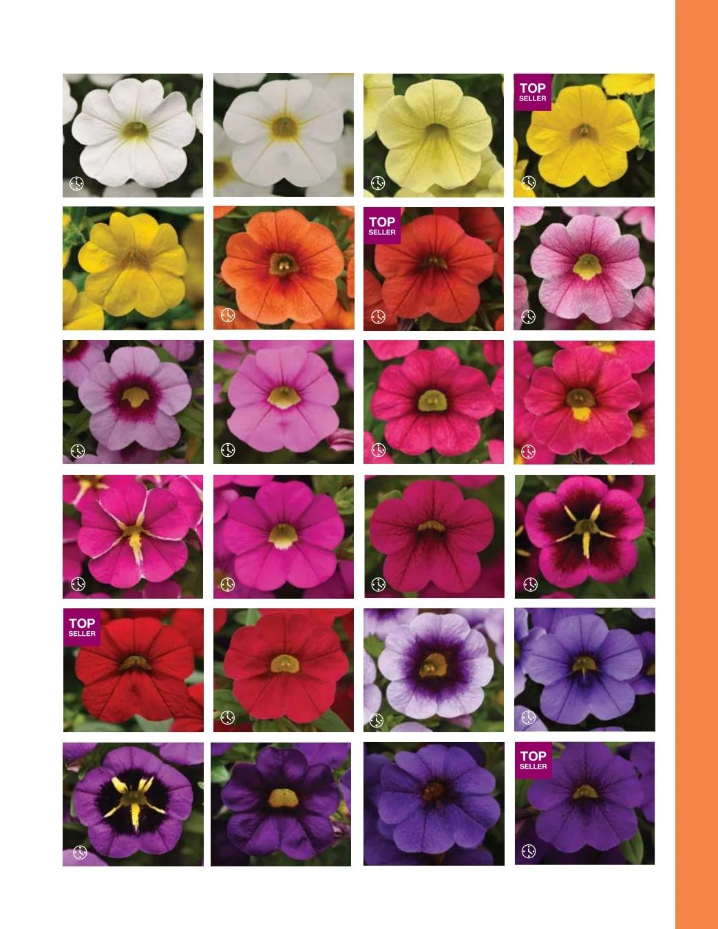 Ball FloraPlant Plants Catalog Weekly Ad January 1 - December 31, 2027
