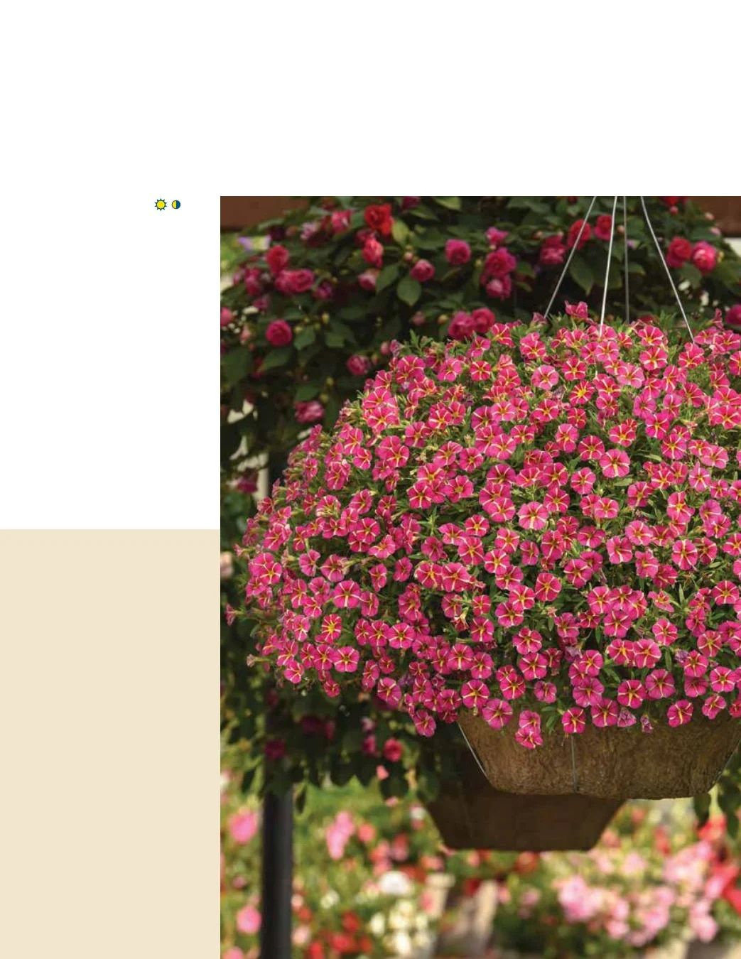 Ball FloraPlant Plants Catalog Weekly Ad January 1 - December 31, 2027