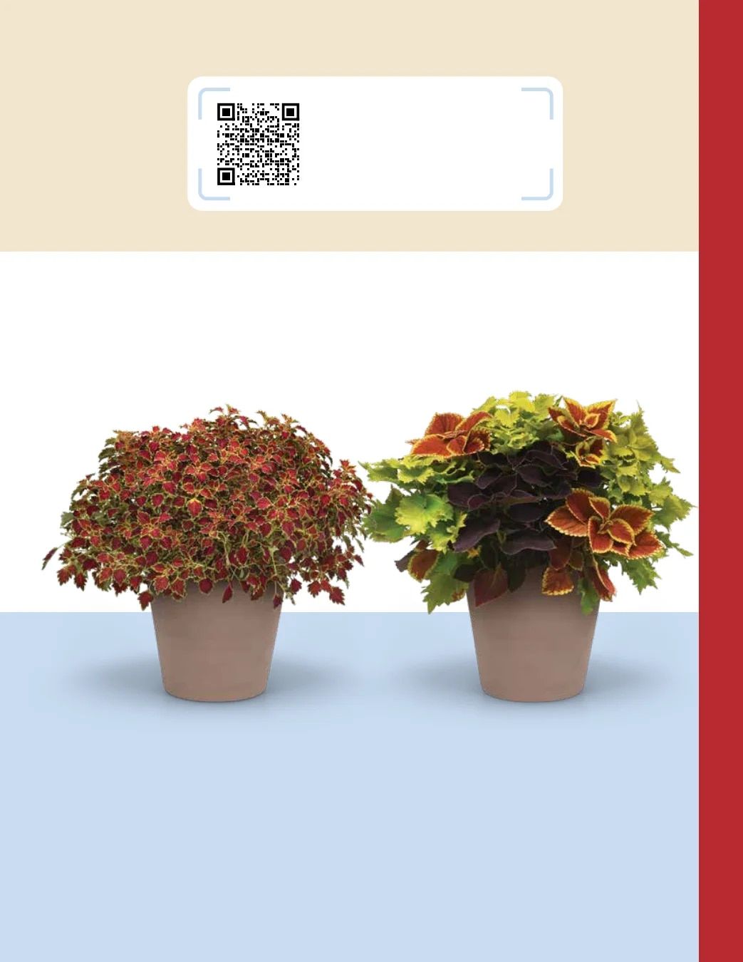 Ball FloraPlant Plants Catalog Weekly Ad January 1 - December 31, 2027