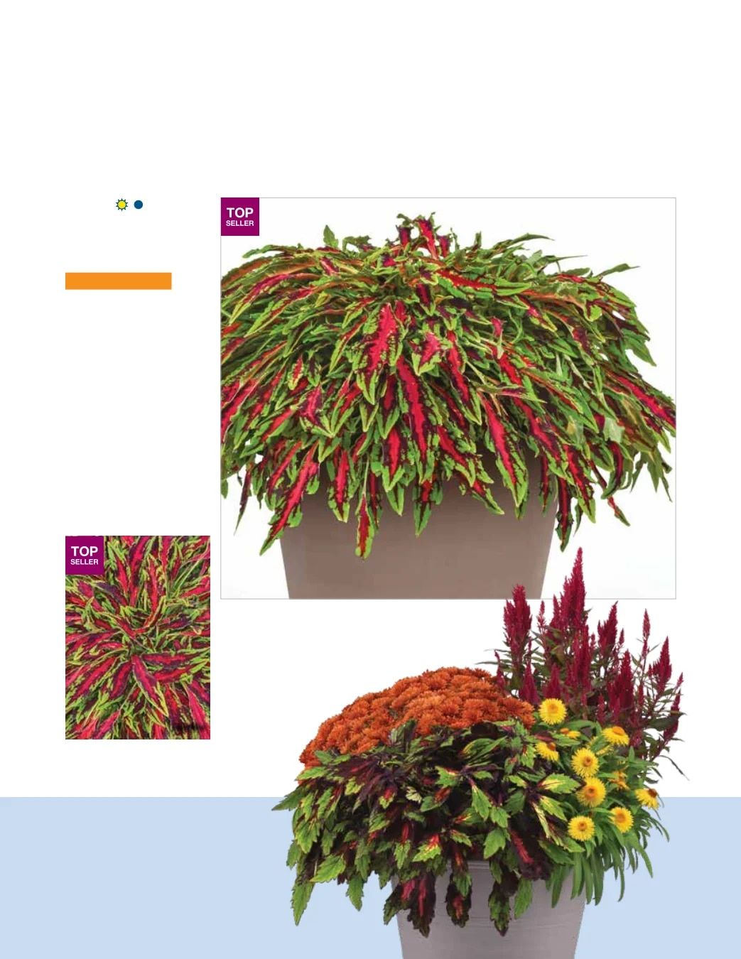 Ball FloraPlant Plants Catalog Weekly Ad January 1 - December 31, 2027