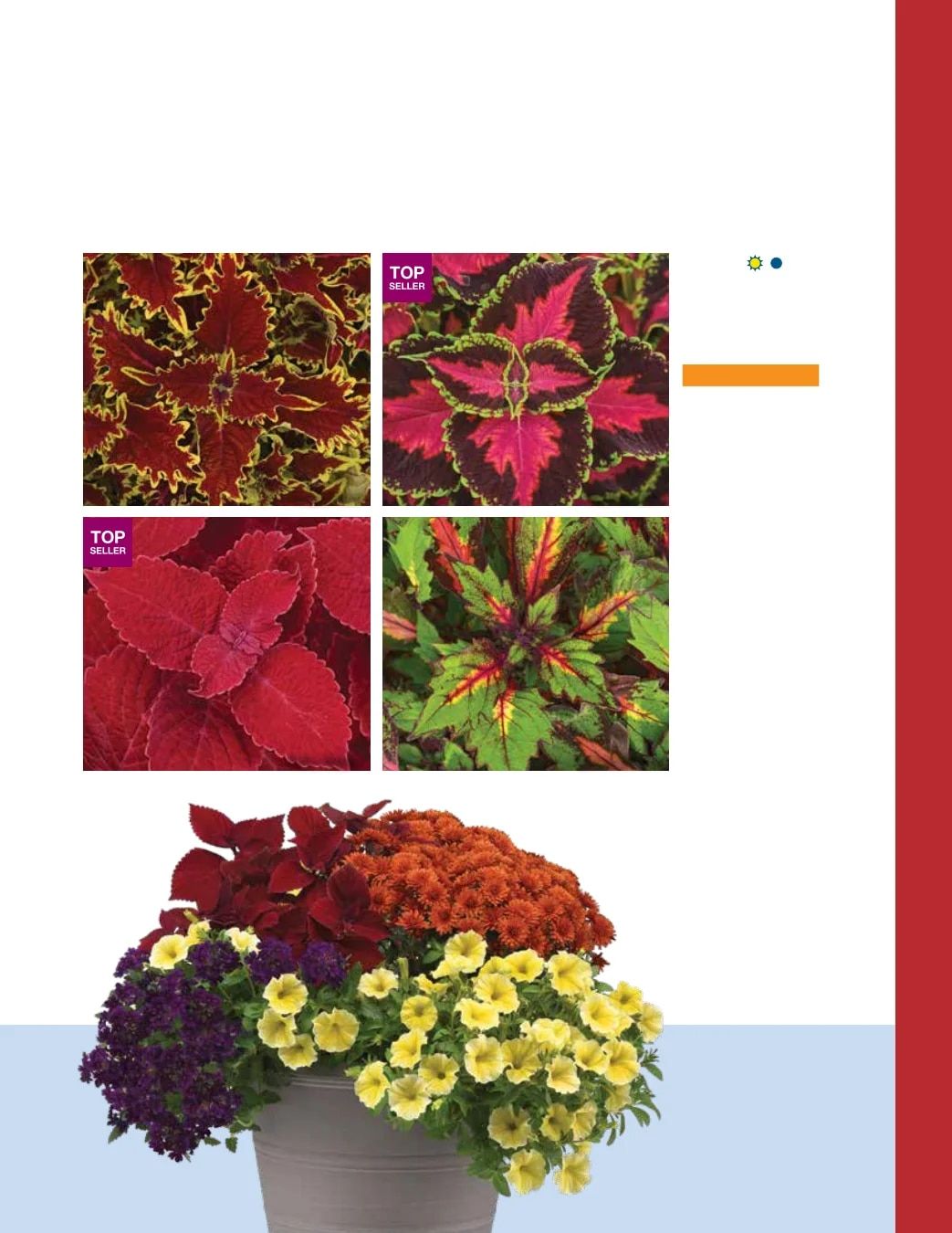 Ball FloraPlant Plants Catalog Weekly Ad January 1 - December 31, 2027