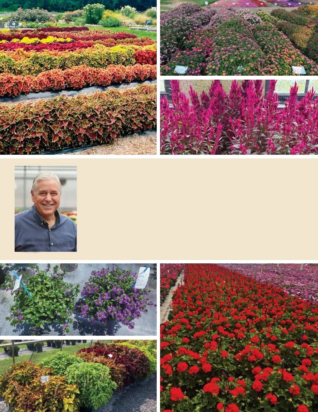 Ball FloraPlant Plants Catalog Weekly Ad January 1 - December 31, 2027