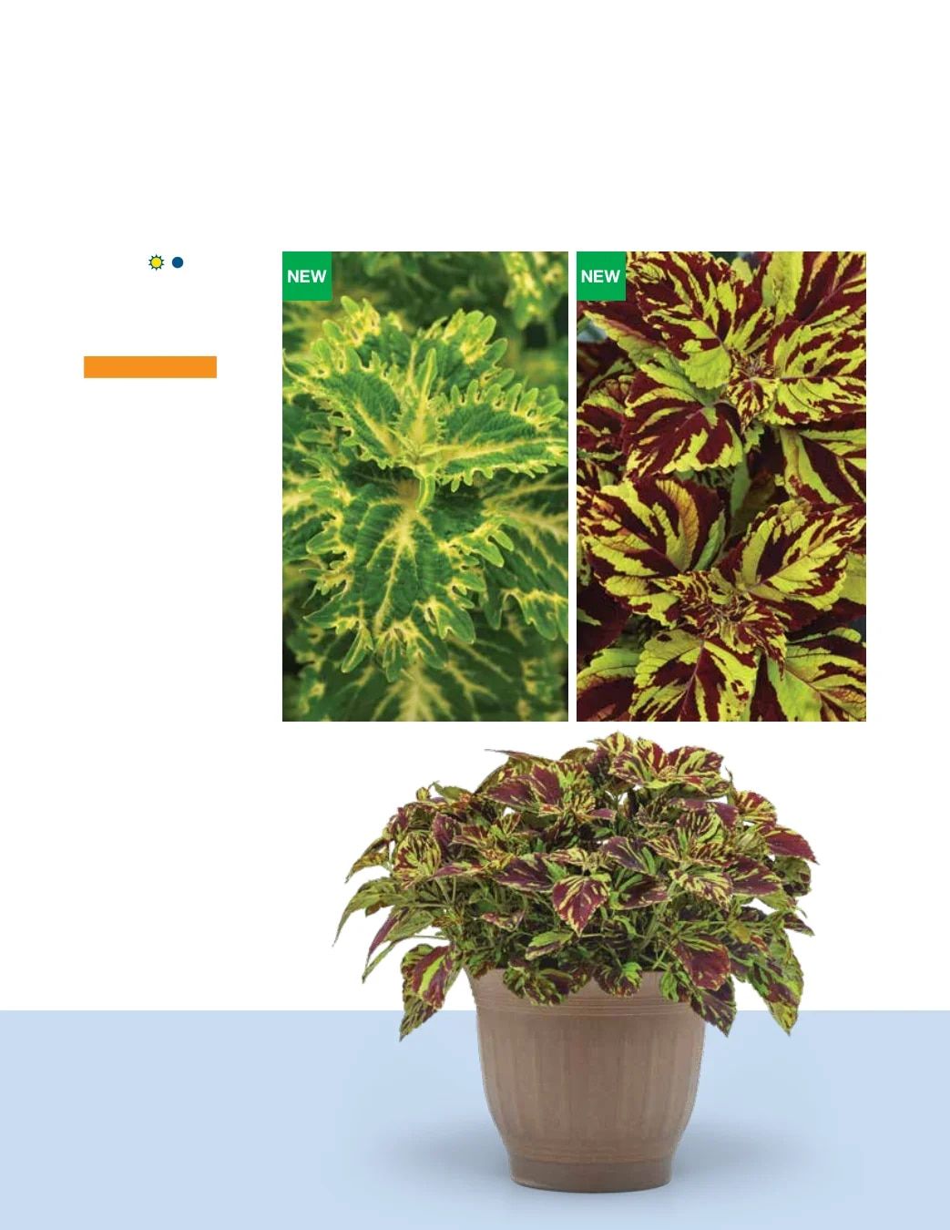 Ball FloraPlant Plants Catalog Weekly Ad January 1 - December 31, 2027