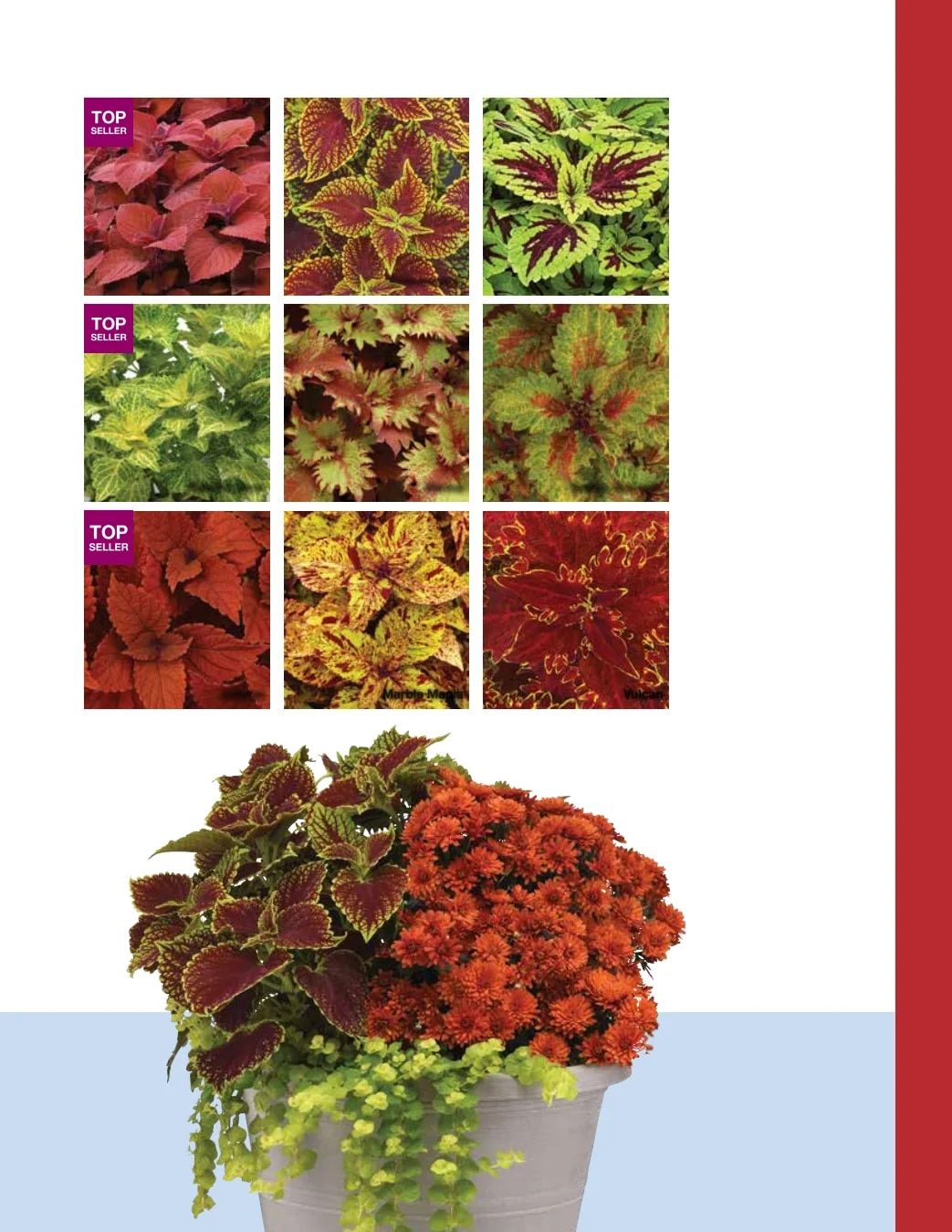 Ball FloraPlant Plants Catalog Weekly Ad January 1 - December 31, 2027