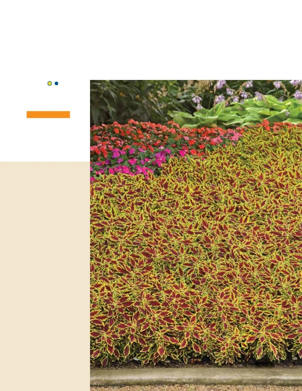 Ball FloraPlant Plants Catalog Weekly Ad January 1 - December 31, 2027