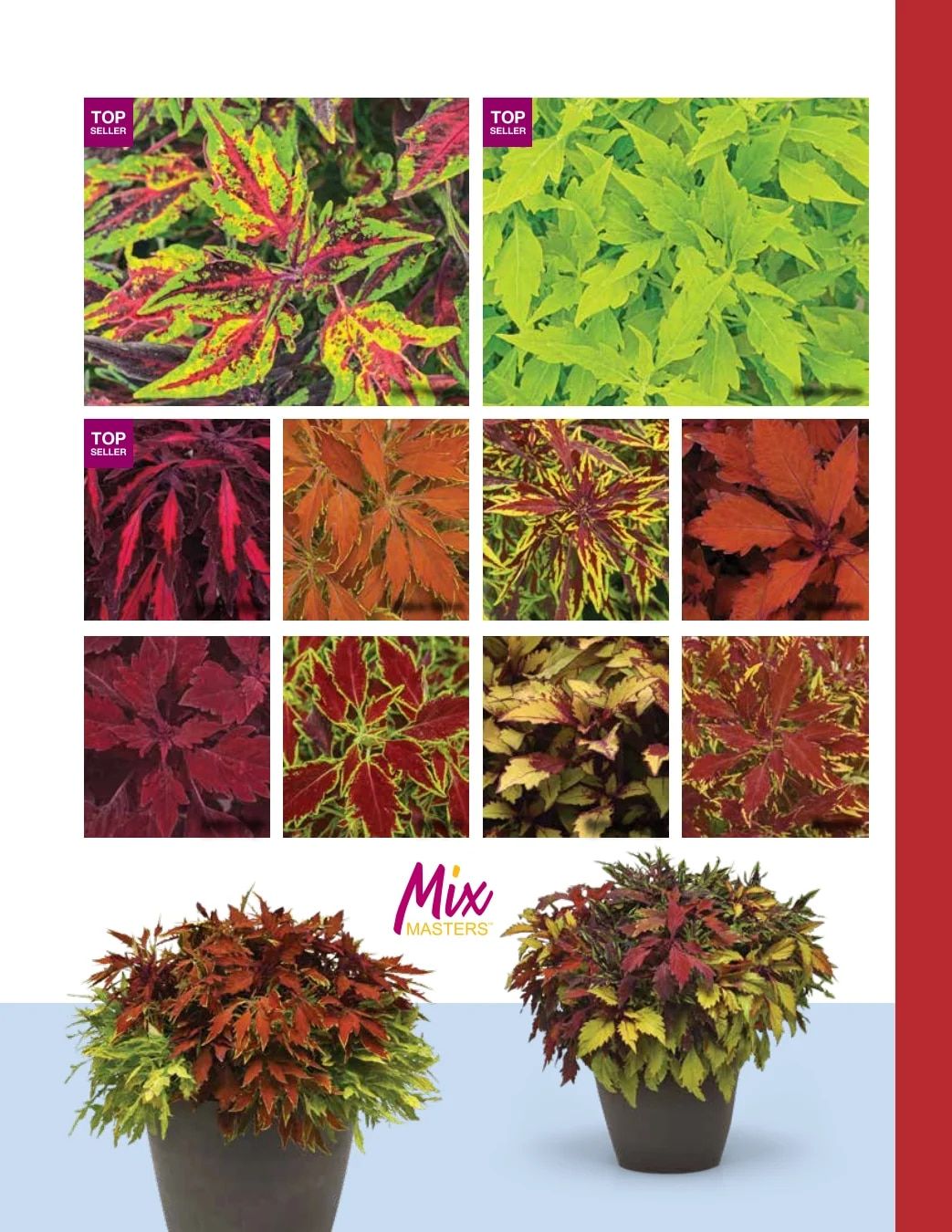 Ball FloraPlant Plants Catalog Weekly Ad January 1 - December 31, 2027
