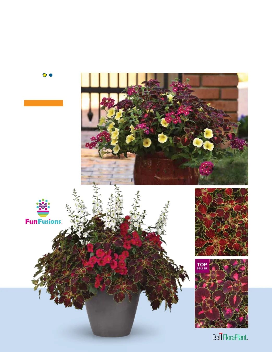 Ball FloraPlant Plants Catalog Weekly Ad January 1 - December 31, 2027