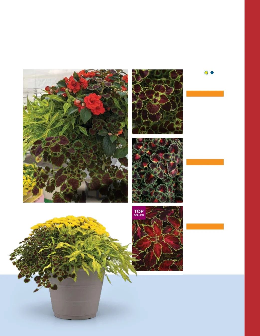 Ball FloraPlant Plants Catalog Weekly Ad January 1 - December 31, 2027