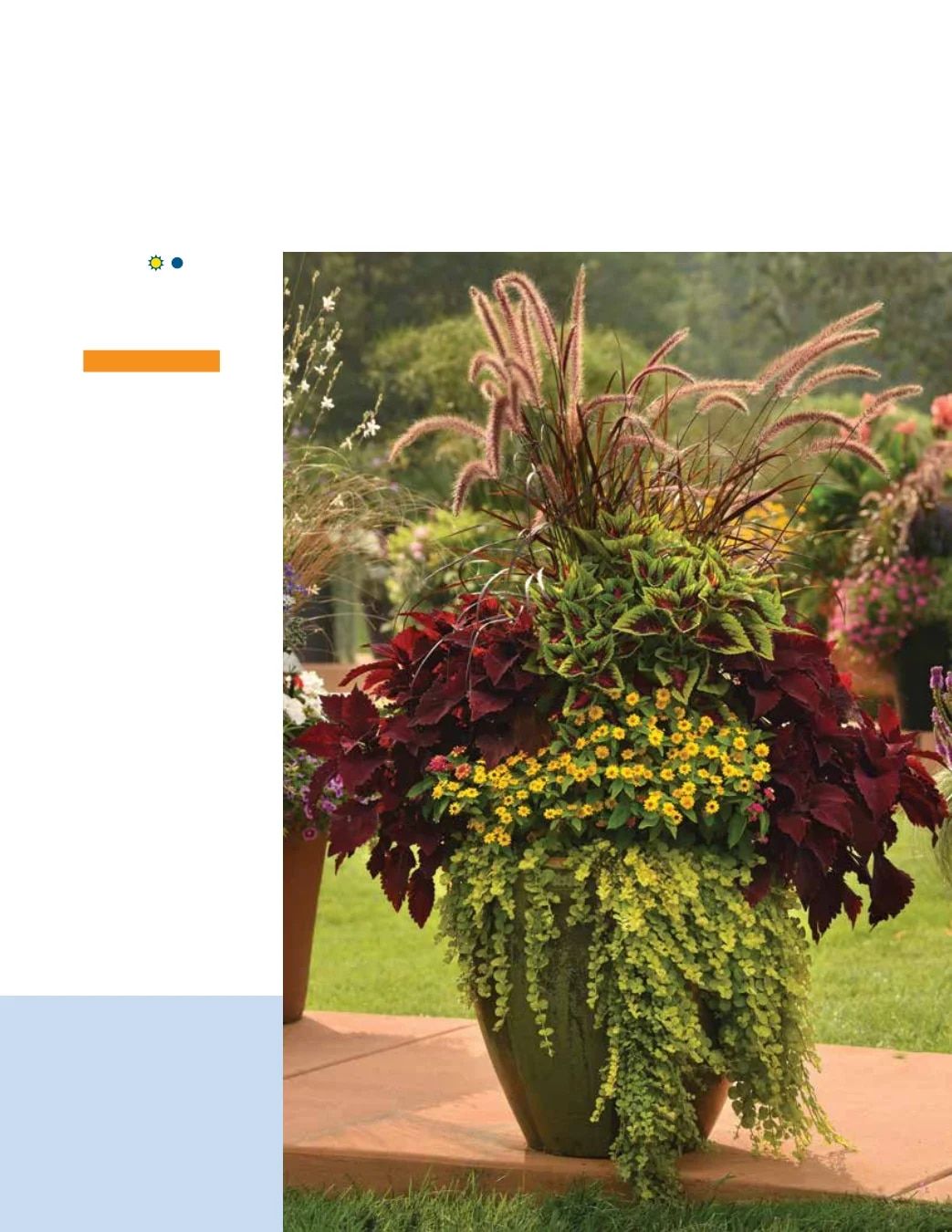 Ball FloraPlant Plants Catalog Weekly Ad January 1 - December 31, 2027