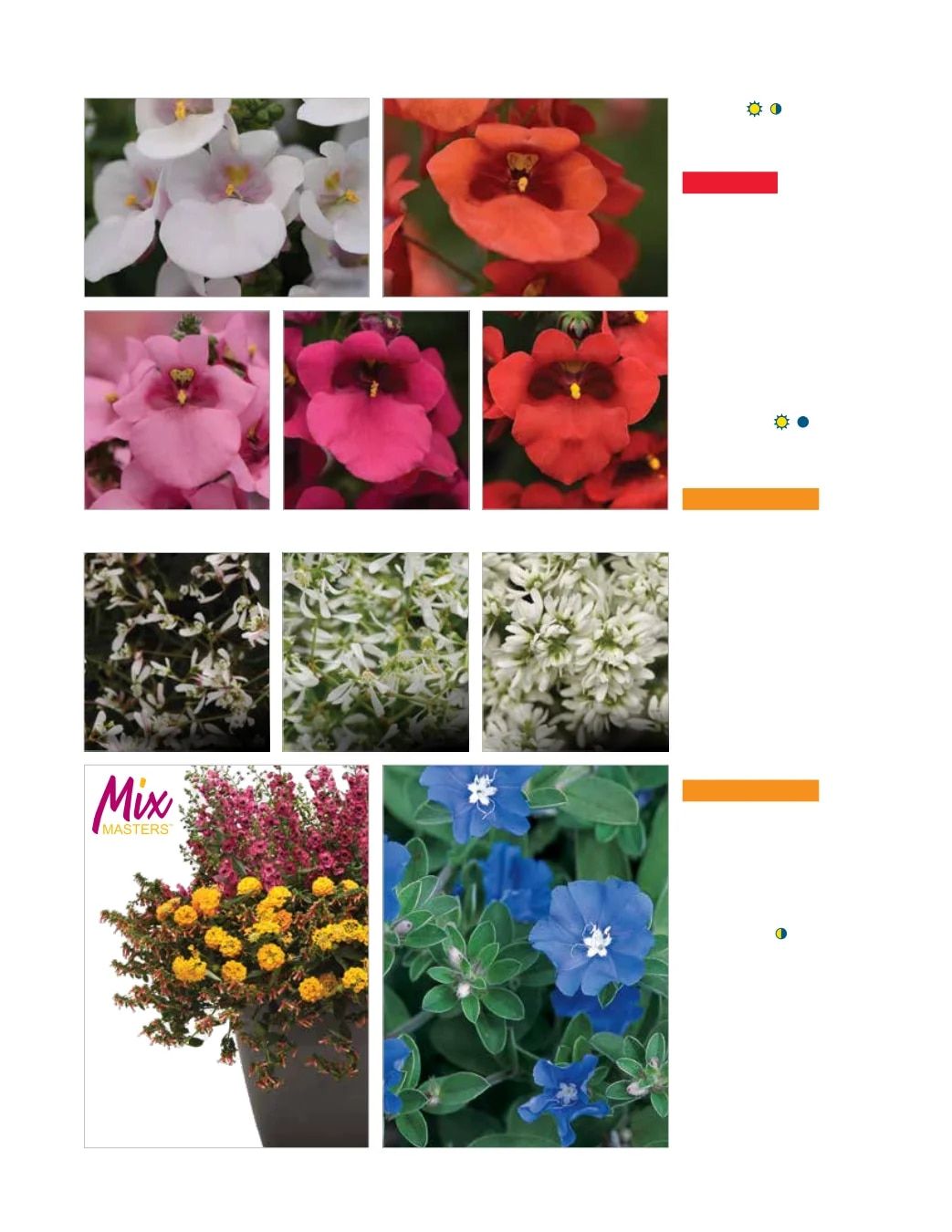 Ball FloraPlant Plants Catalog Weekly Ad January 1 - December 31, 2027