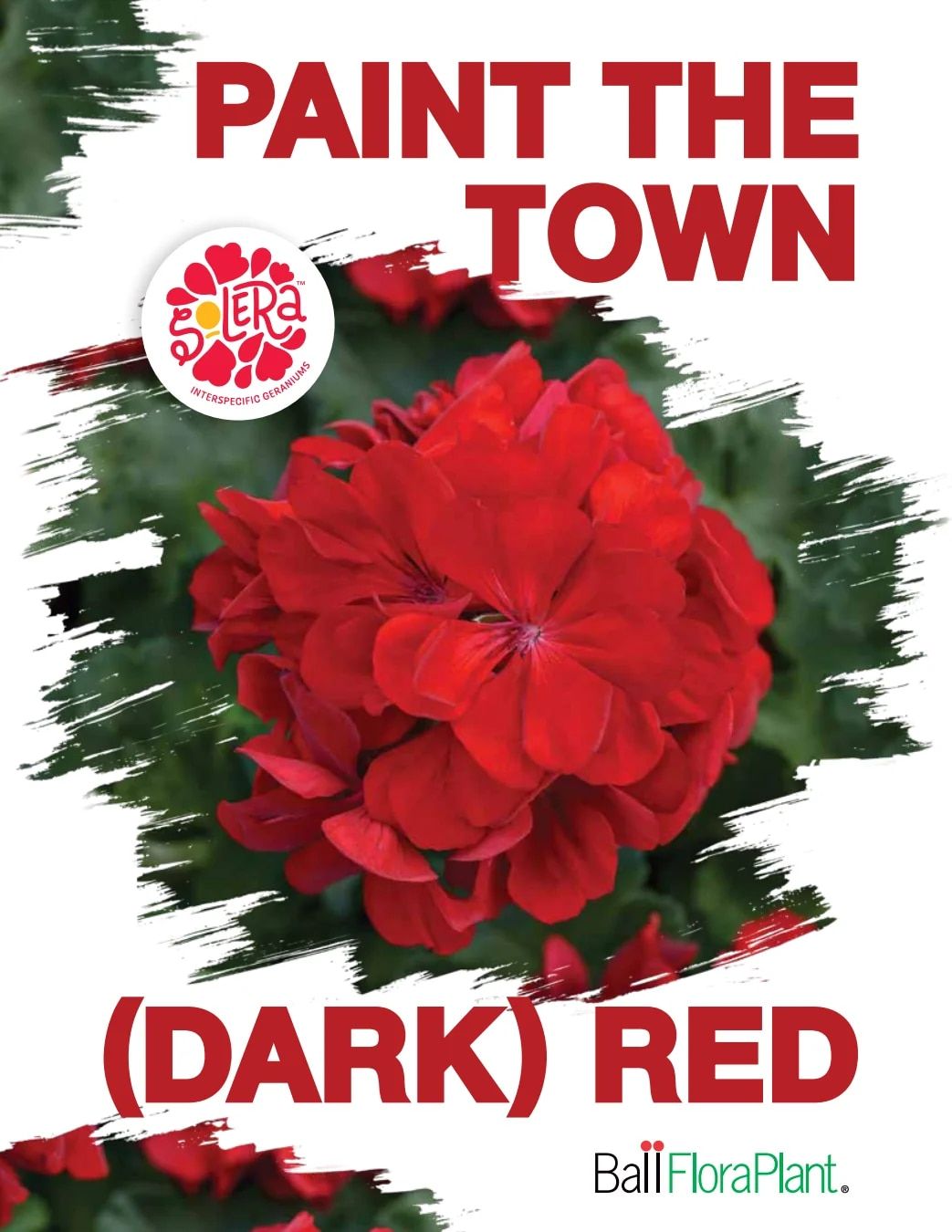 Ball FloraPlant Plants Catalog Weekly Ad January 1 - December 31, 2027