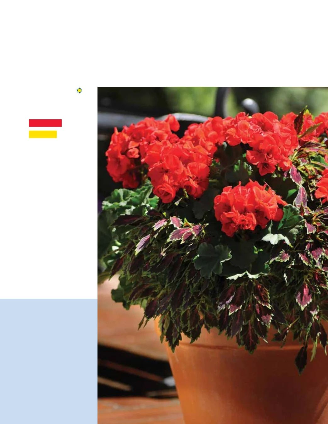 Ball FloraPlant Plants Catalog Weekly Ad January 1 - December 31, 2027