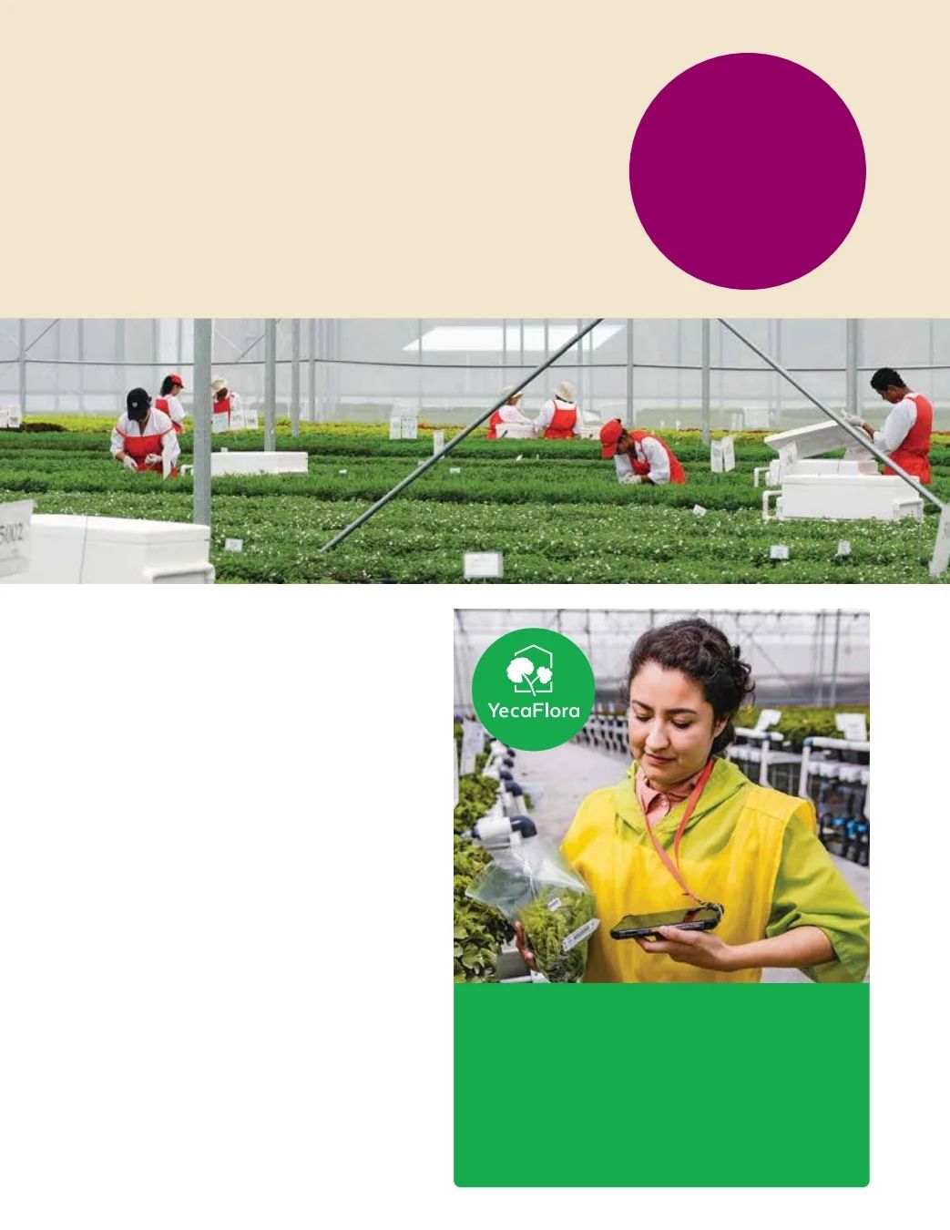Ball FloraPlant Plants Catalog Weekly Ad January 1 - December 31, 2027