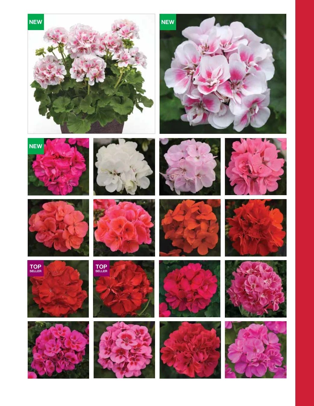 Ball FloraPlant Plants Catalog Weekly Ad January 1 - December 31, 2027
