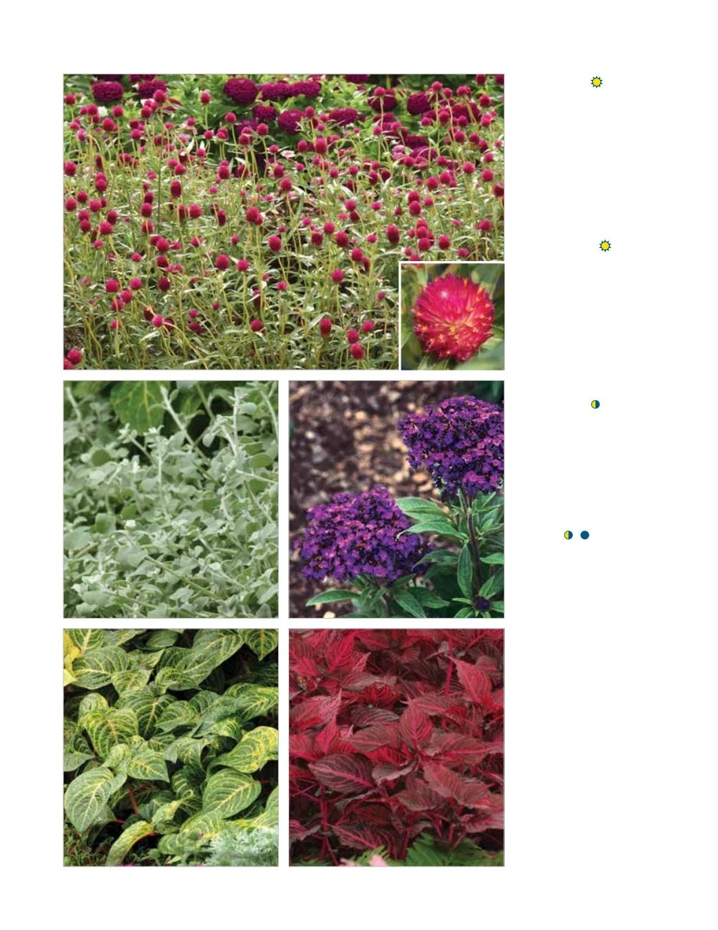 Ball FloraPlant Plants Catalog Weekly Ad January 1 - December 31, 2027