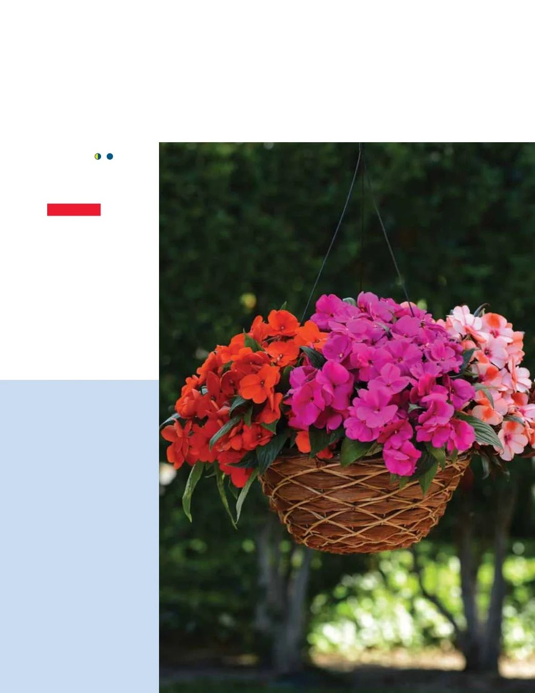 Ball FloraPlant Plants Catalog Weekly Ad January 1 - December 31, 2027