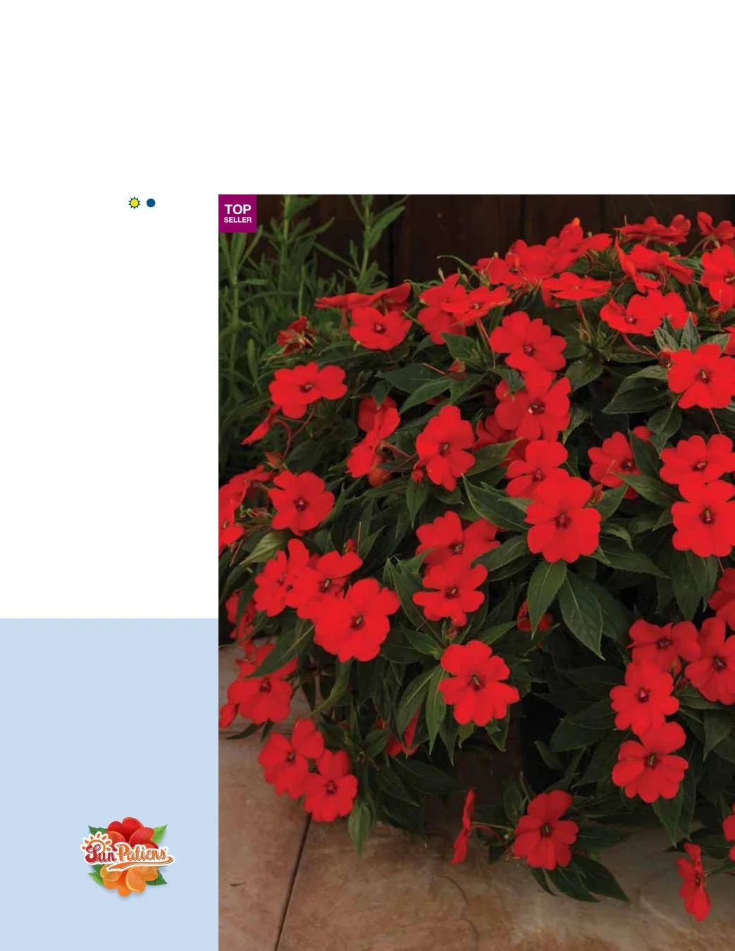 Ball FloraPlant Plants Catalog Weekly Ad January 1 - December 31, 2027