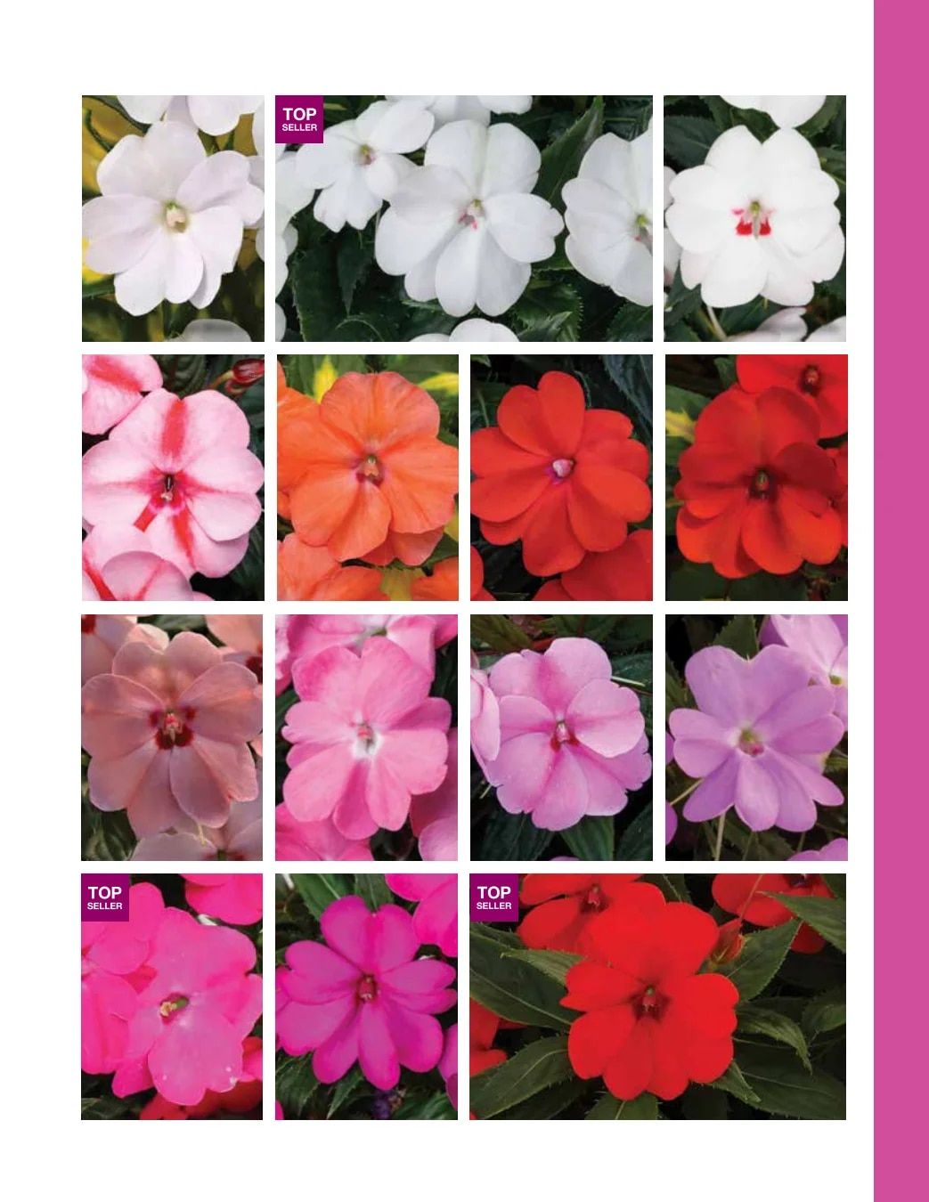 Ball FloraPlant Plants Catalog Weekly Ad January 1 - December 31, 2027